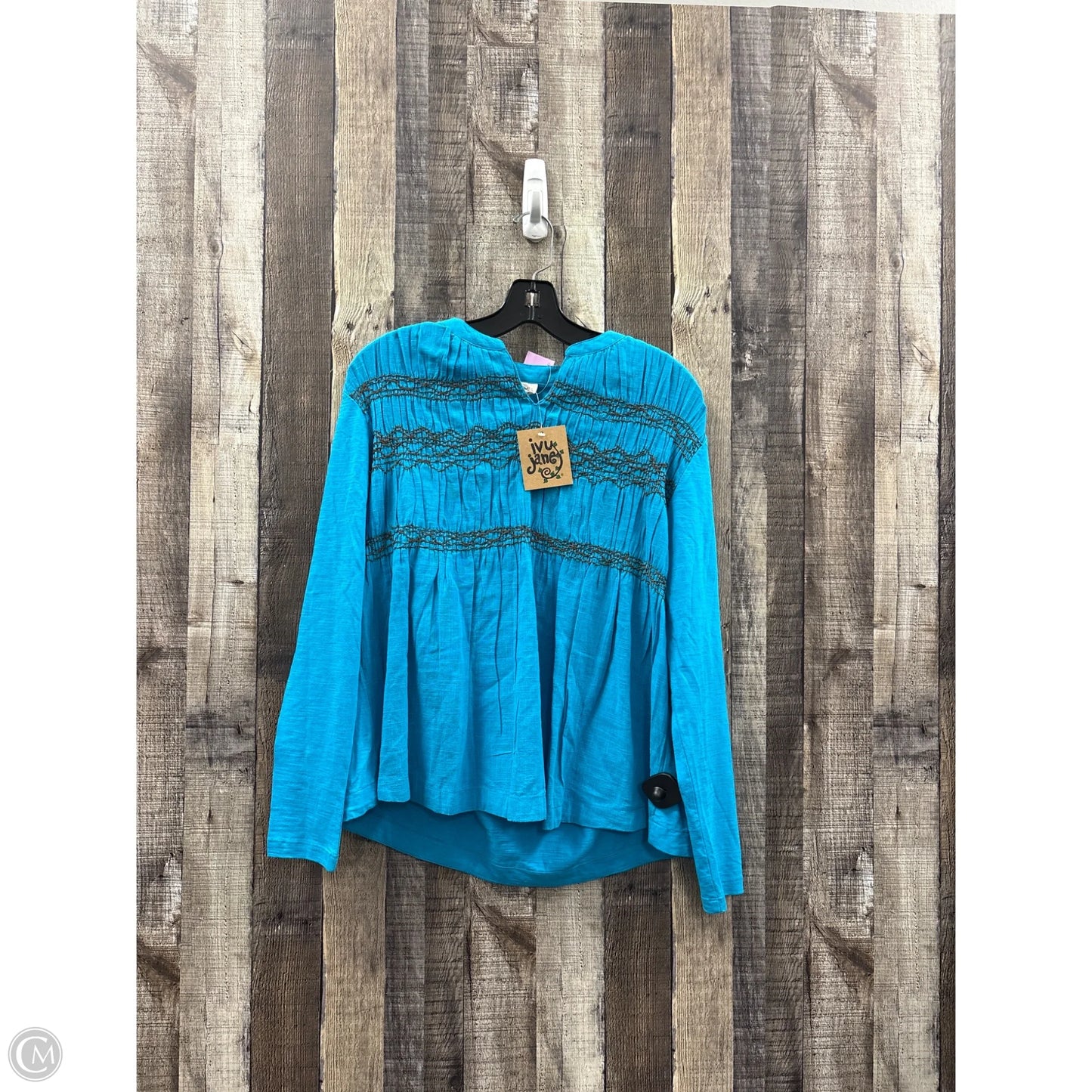 Top Long Sleeve By Ivy Jane In Blue, Size: Xs