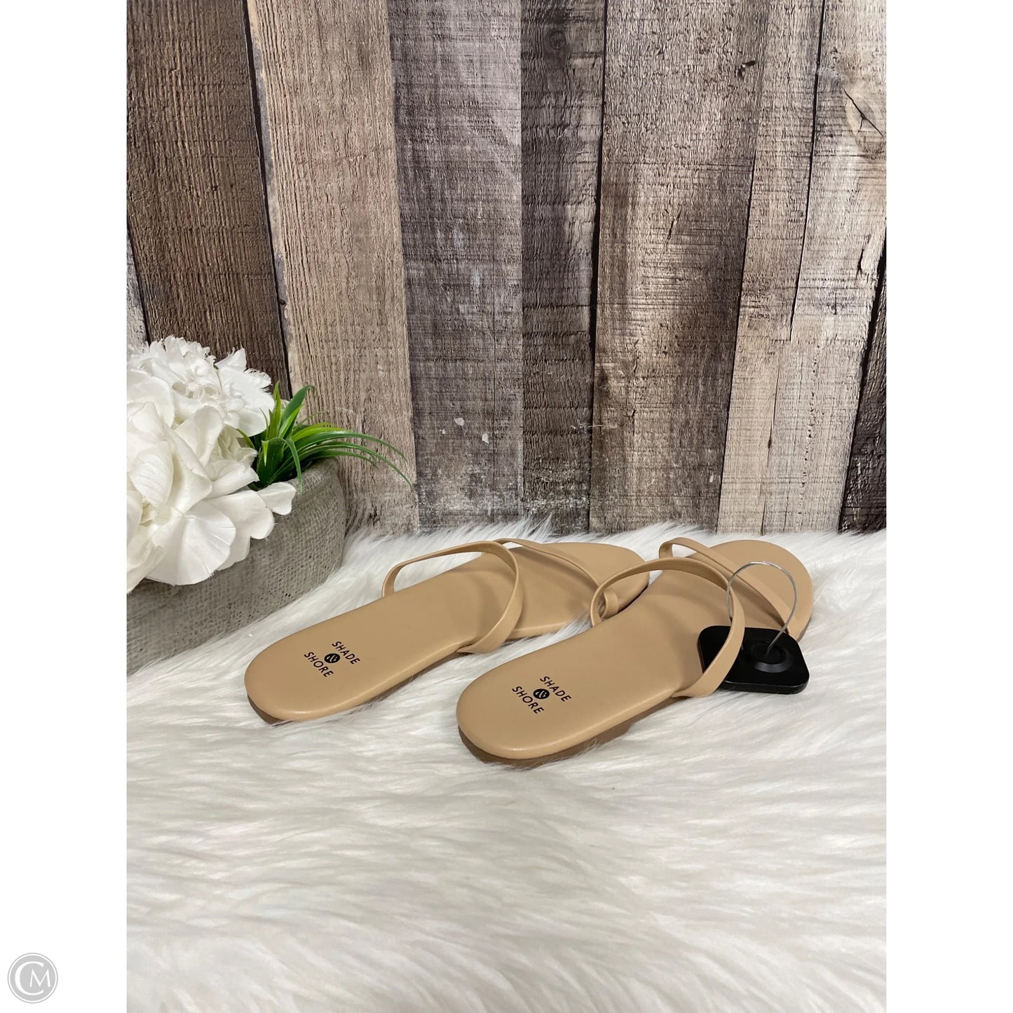 Sandals Flats By Shade & Shore In Beige, Size: 6