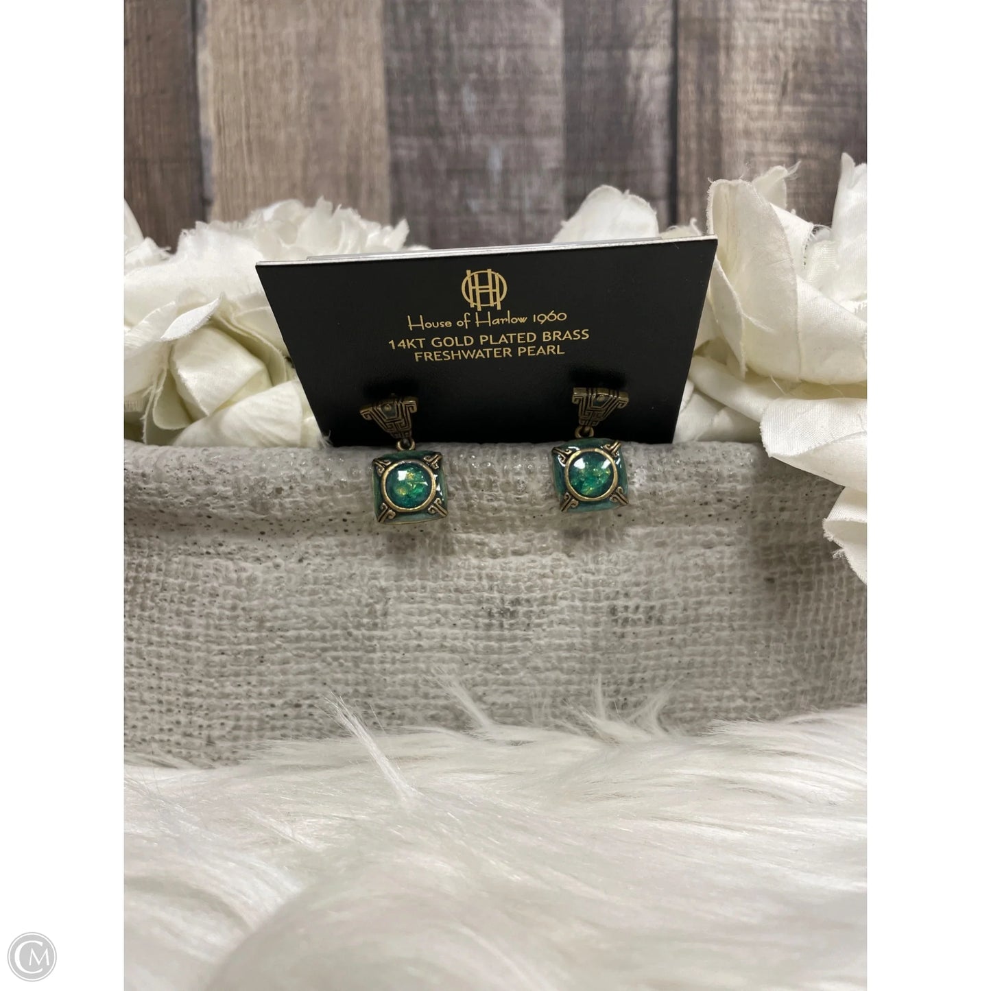 Earrings Dangle/drop By Chicos