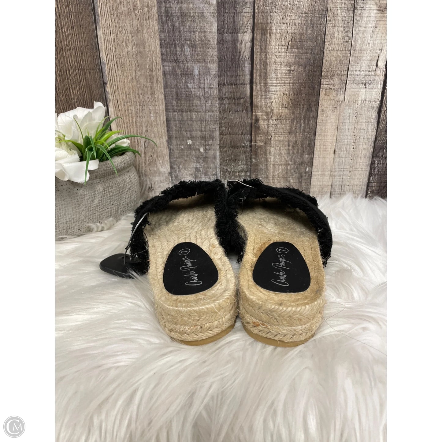 Sandals Flats By Charlie Paige In Black, Size: 7