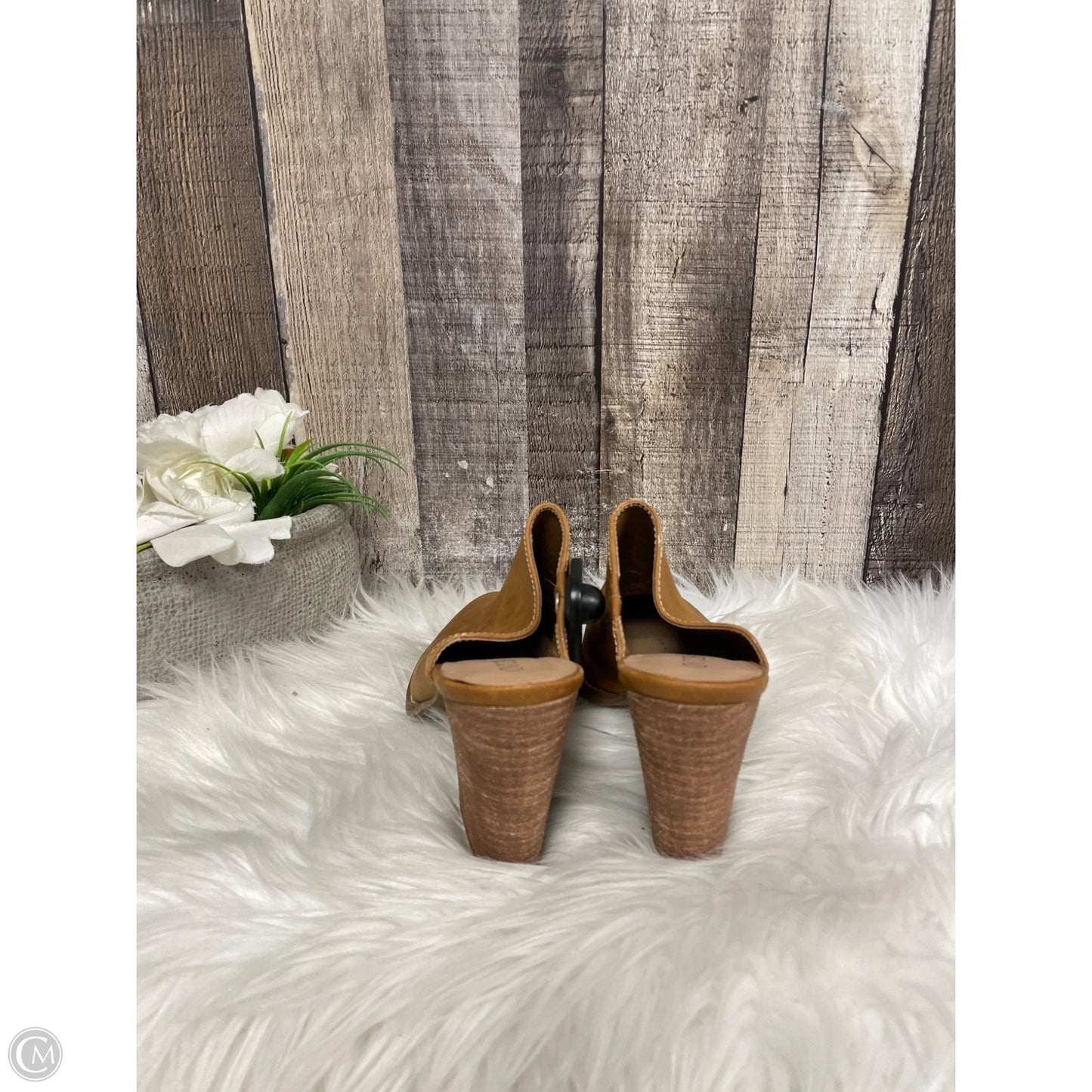 Shoes Heels Block By Abound In Brown, Size: 6