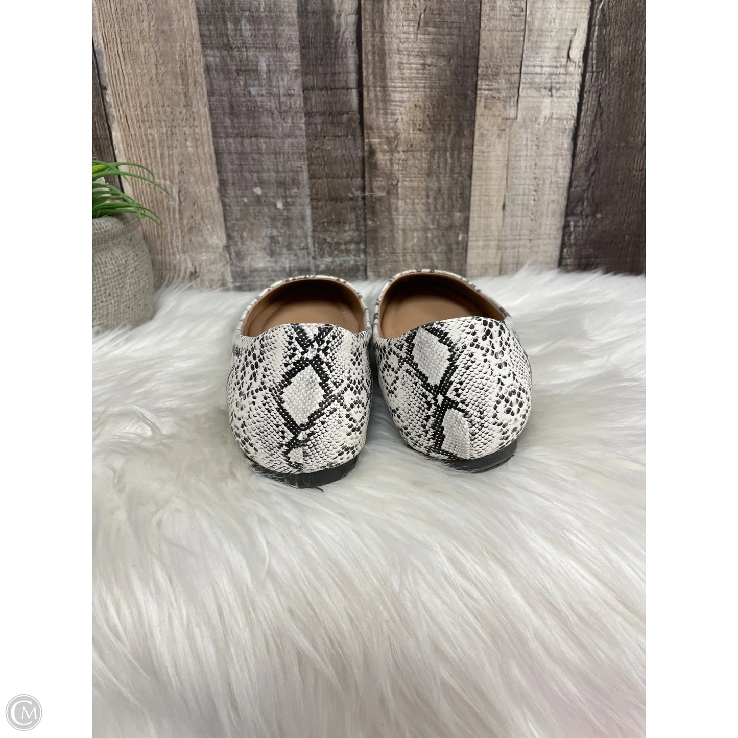 Shoes Flats By Journee In Animal Print, Size: 6.5