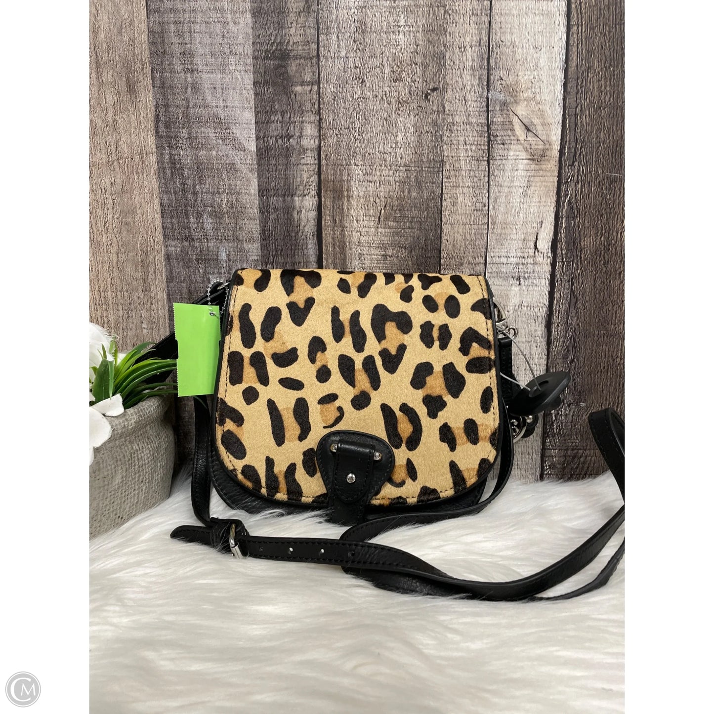 Crossbody By Audrey Brooke, Size: Medium