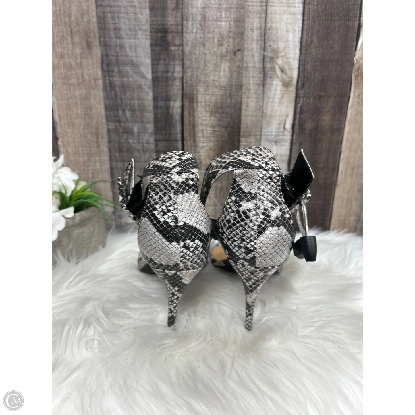 Shoes Heels Stiletto By Anne Michelle In Snakeskin Print, Size: 11