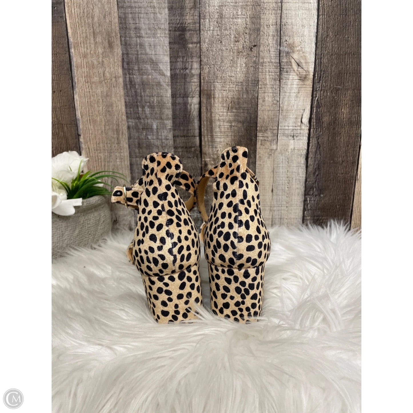 Sandals Heels Block By Gap In Animal Print, Size: 8