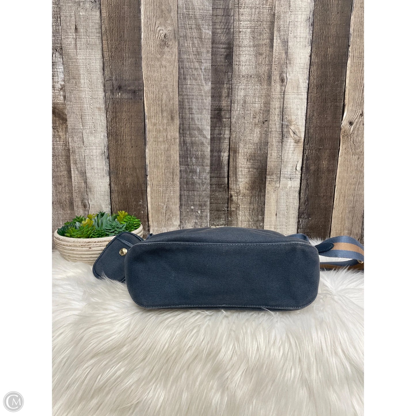 Crossbody Designer By Coach, Size: Medium