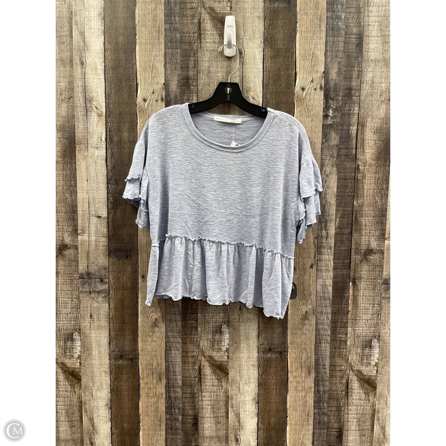 Top Short Sleeve By Altard State In Blue, Size: Xl