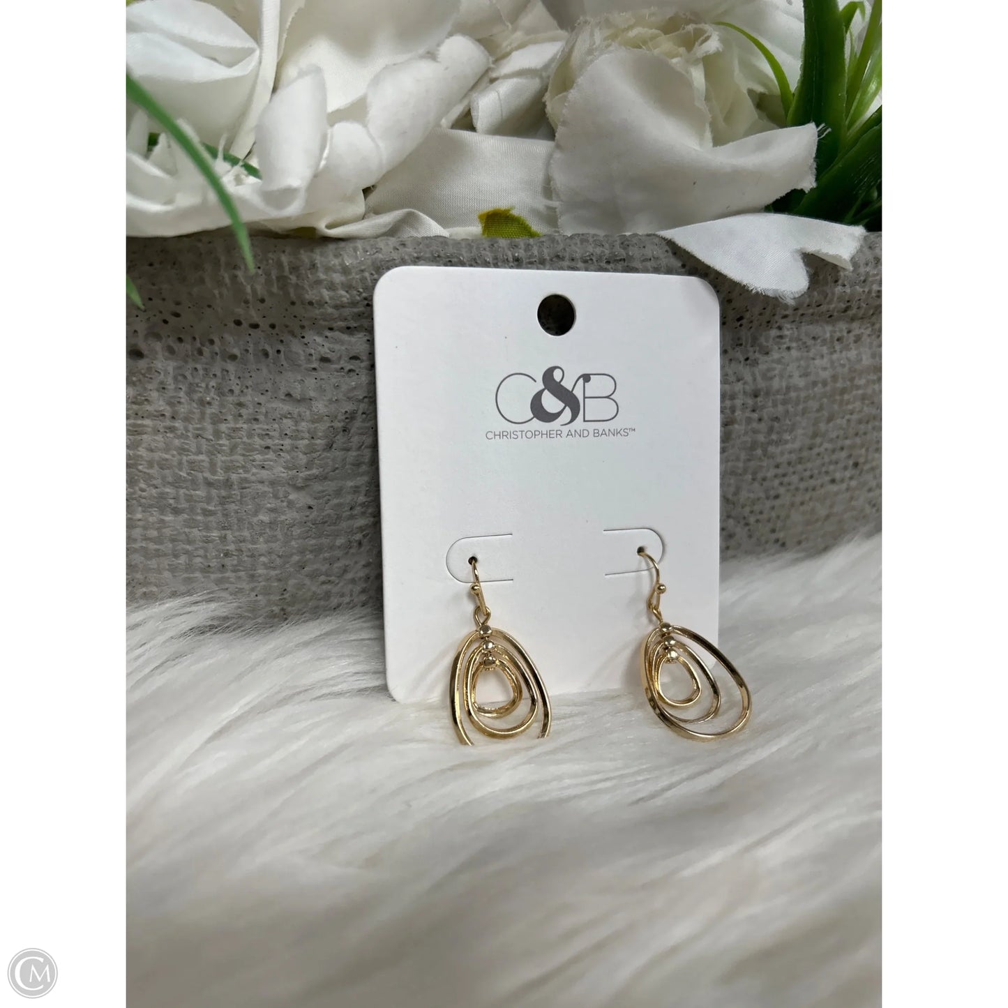 Earrings Dangle/drop By Christopher And Banks