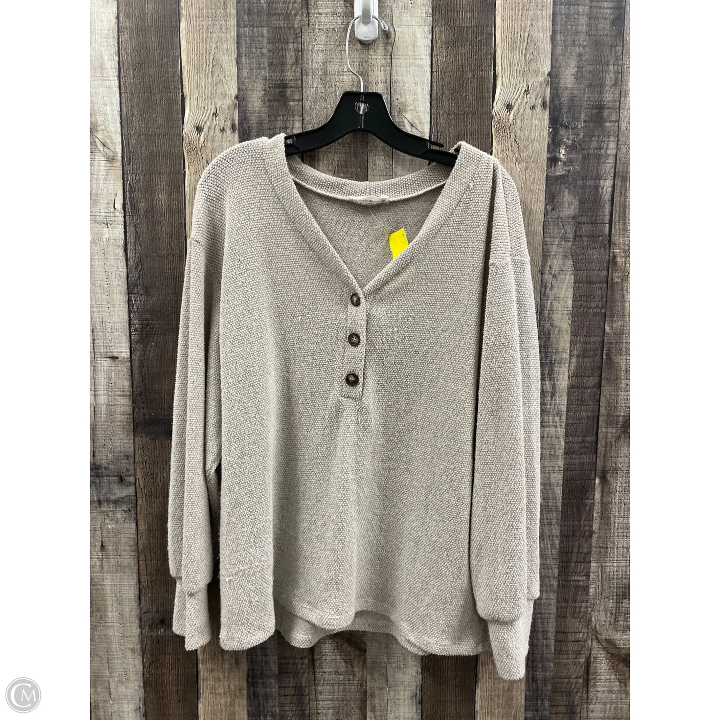 Top Long Sleeve By Lush In Tan, Size: L