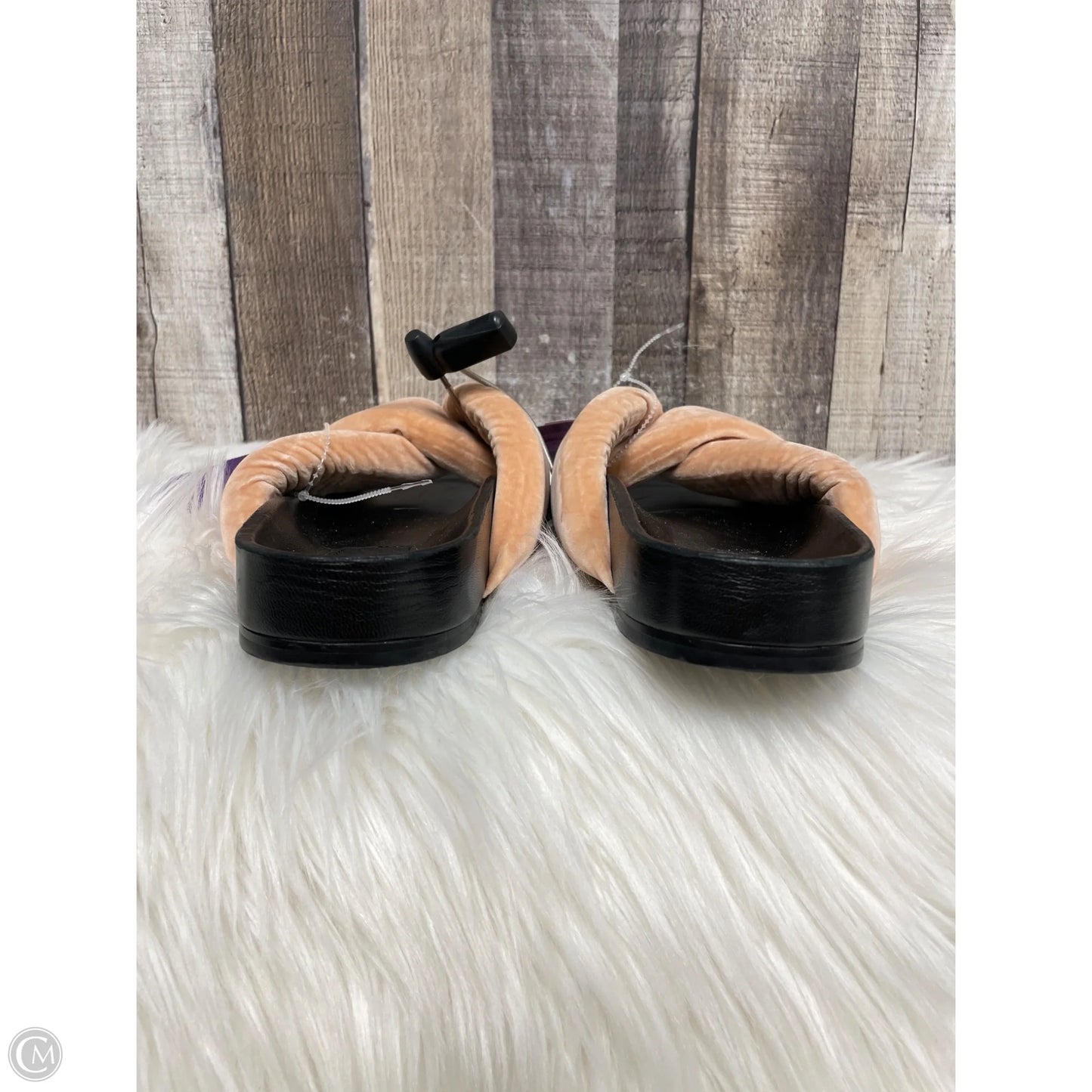 Sandals Luxury Designer By Chloe In Peach, Size: 11