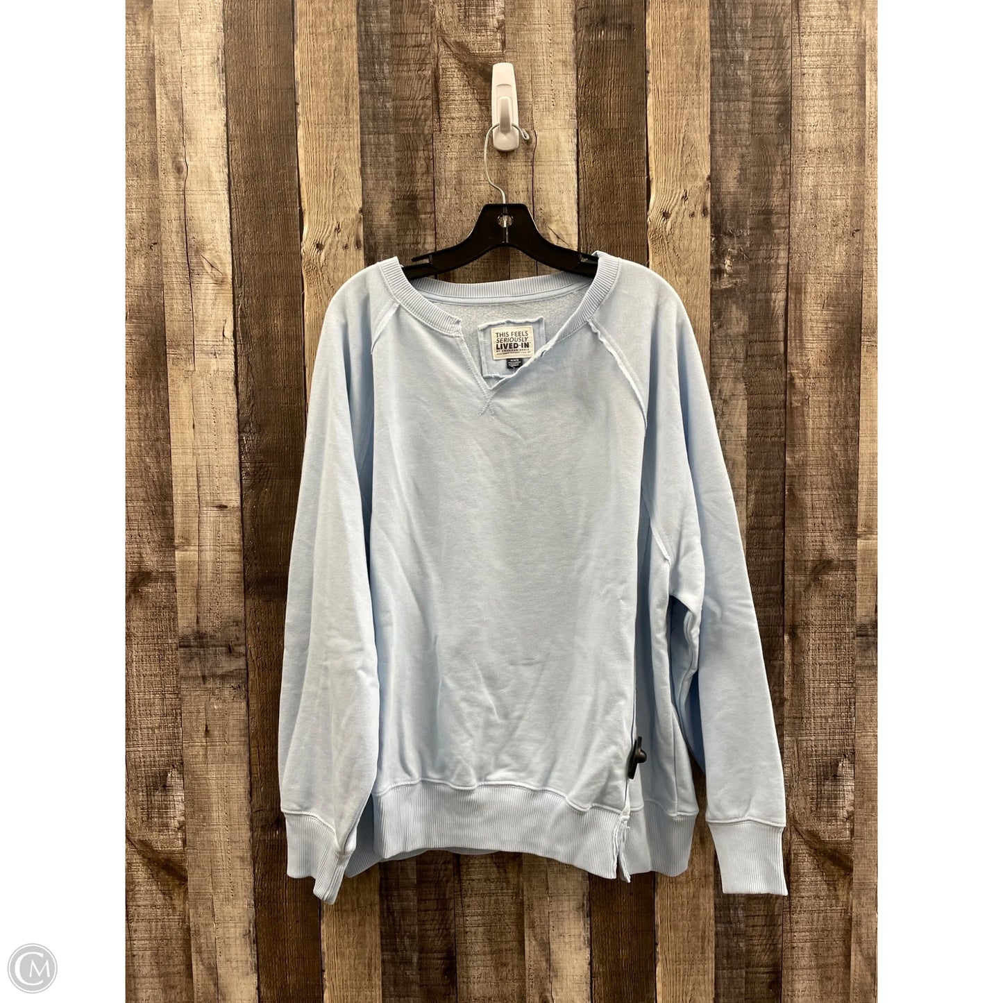 Sweatshirt Crewneck By American Eagle In Blue, Size: M