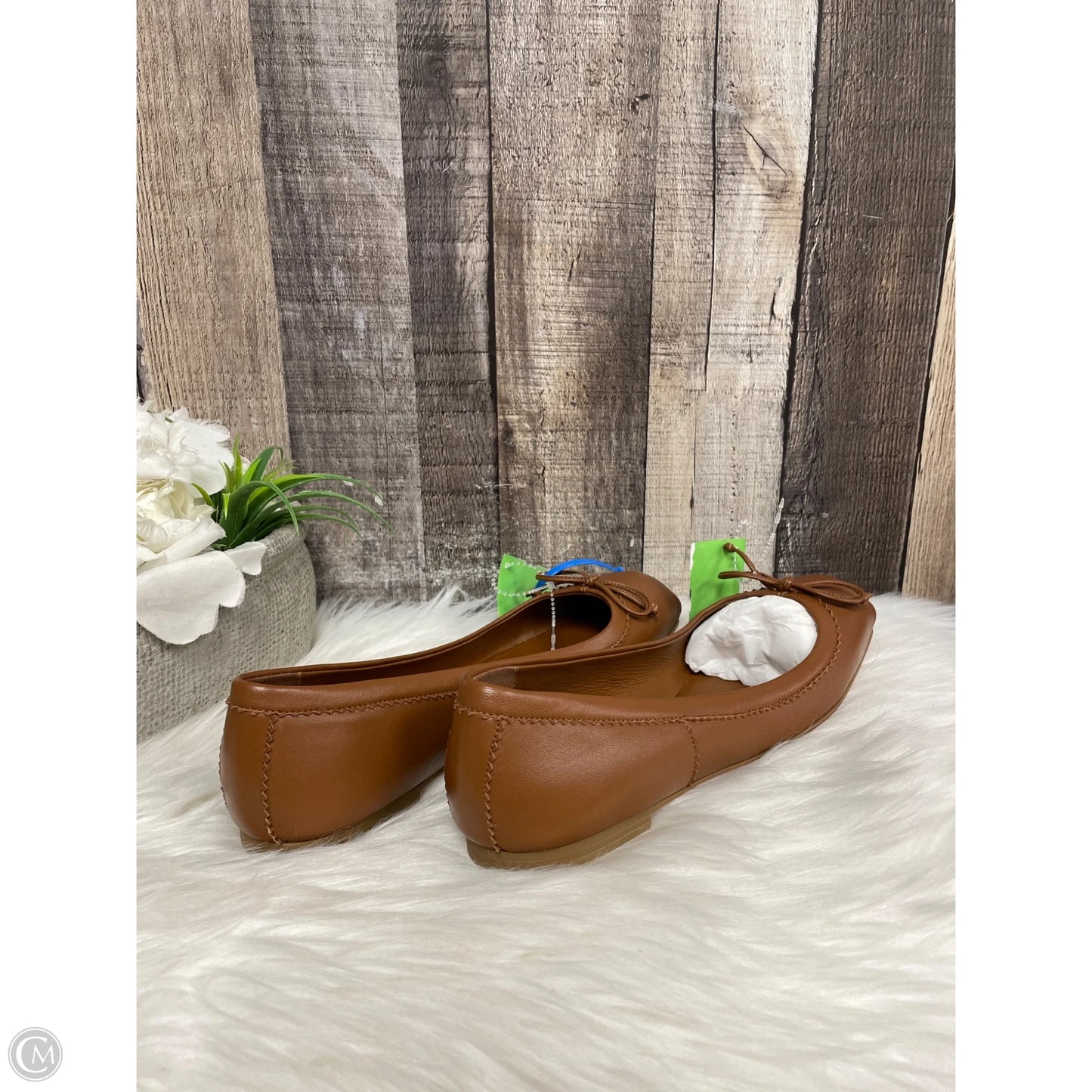 Shoes Luxury Designer By Christian Louboutin In Brown, Size: 7.5