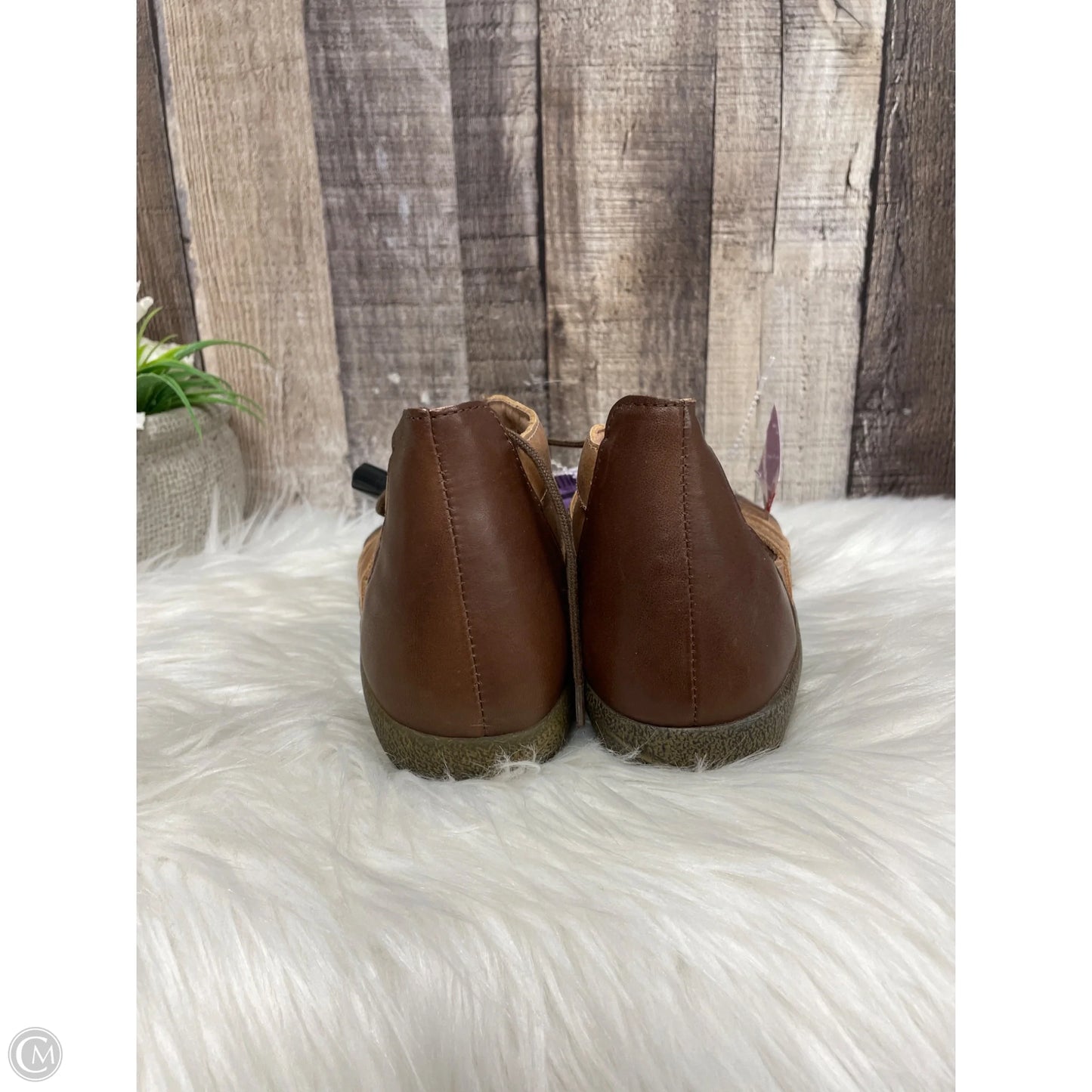 Sandals Flats By Naot In Brown, Size: 8