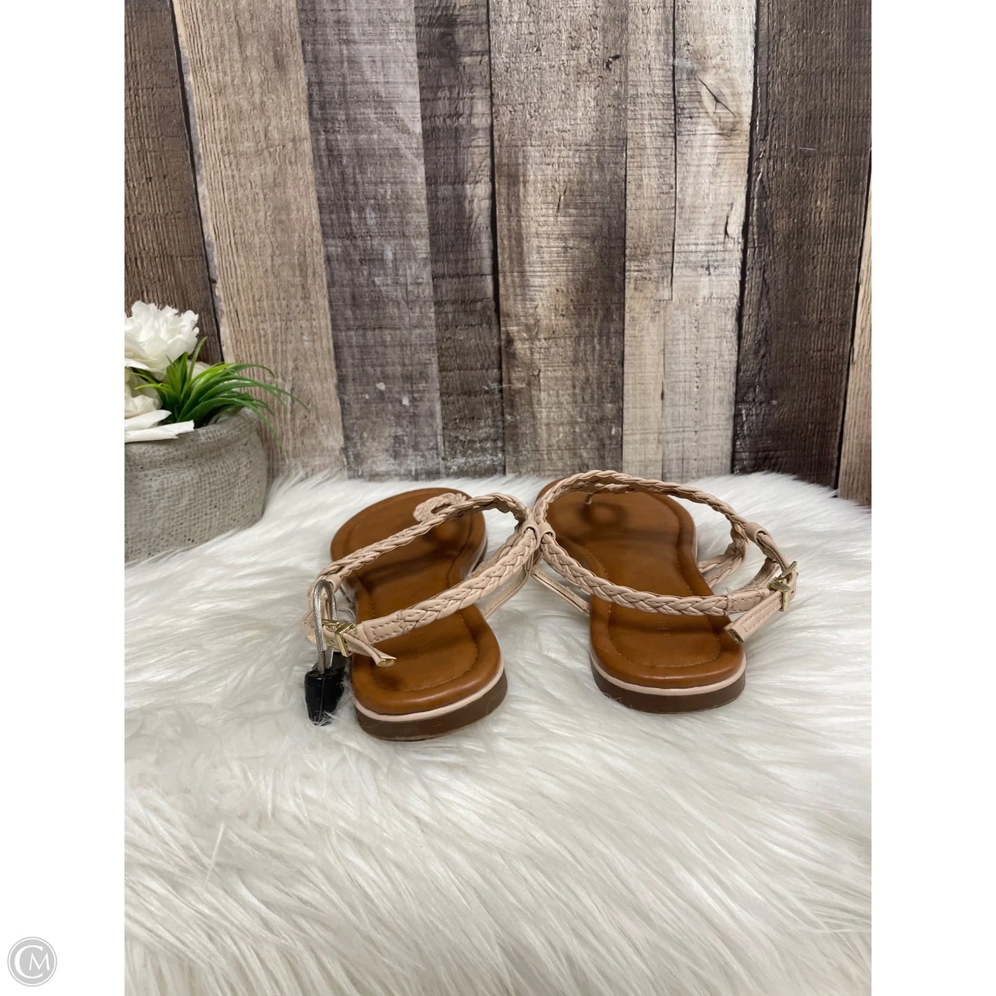 Sandals Flats By Kelly And Katie In Tan, Size: 9