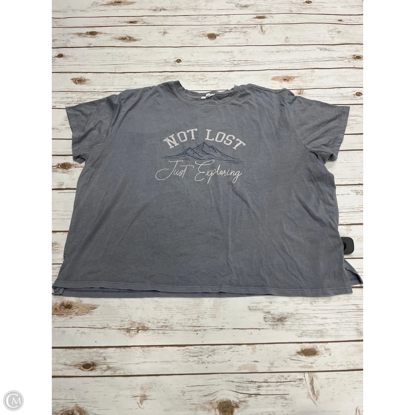 Top Short Sleeve By Maurices In Grey, Size: 2x