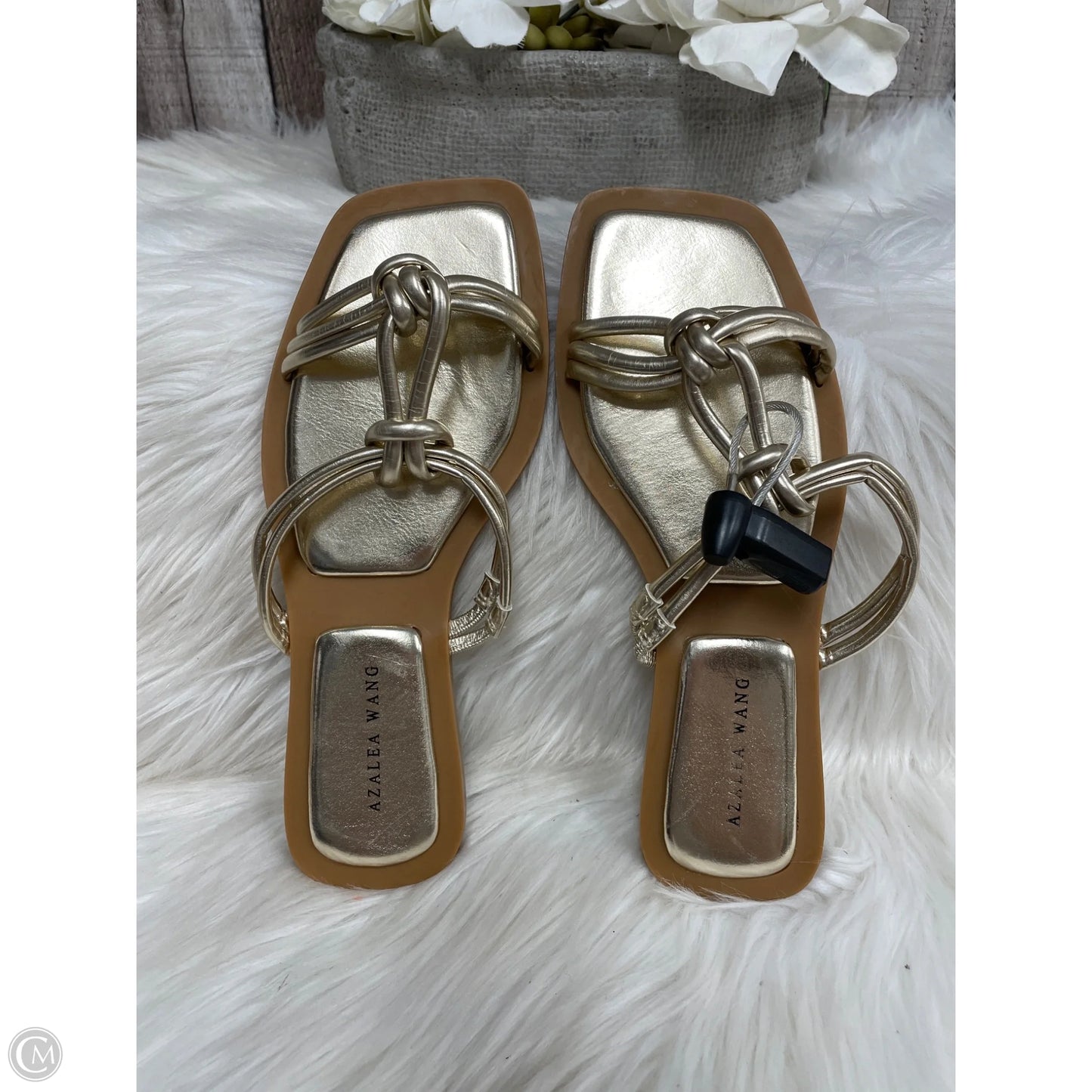 Sandals Flats By Cme In Gold, Size: 7
