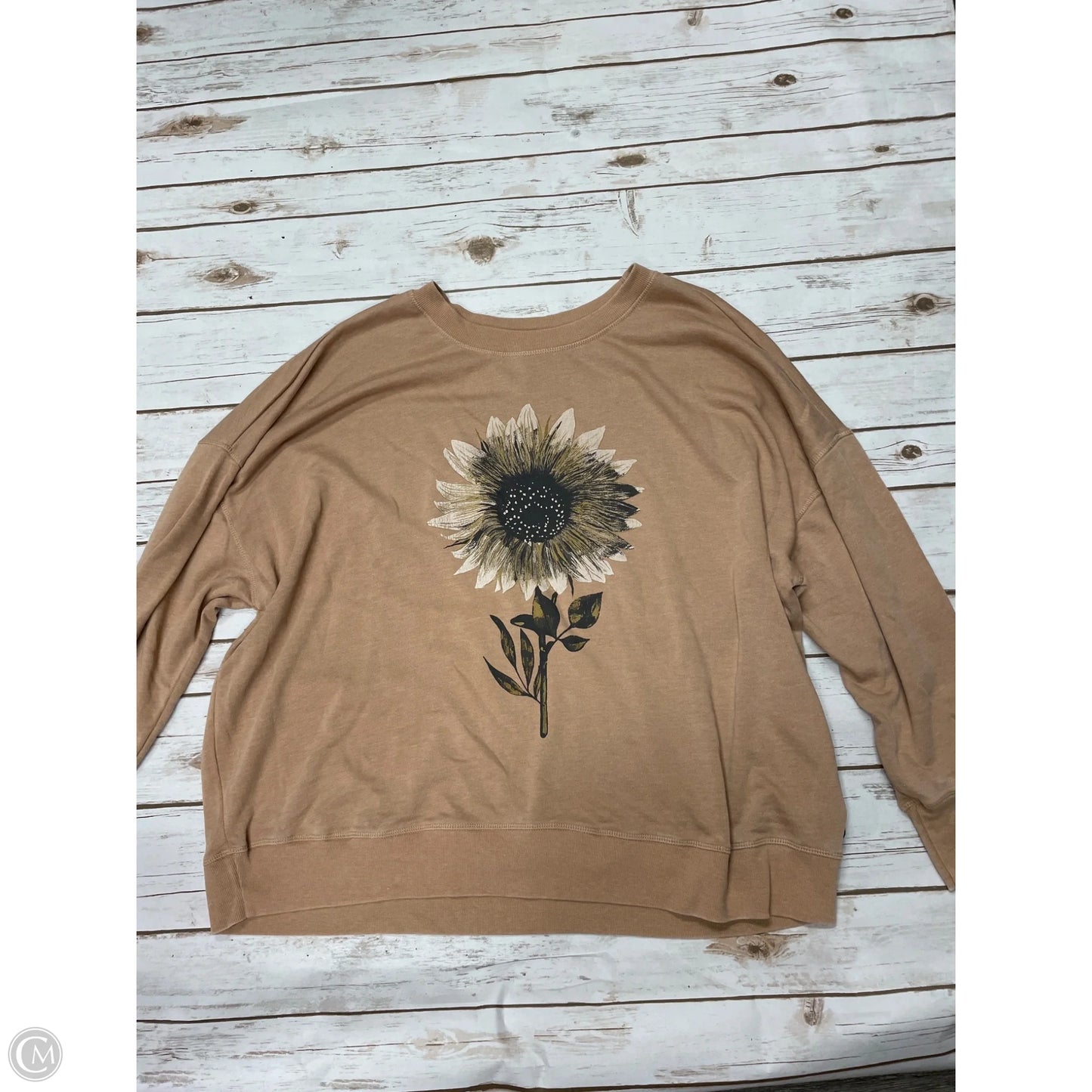 Sweatshirt Crewneck By Maurices In Tan, Size: 2x