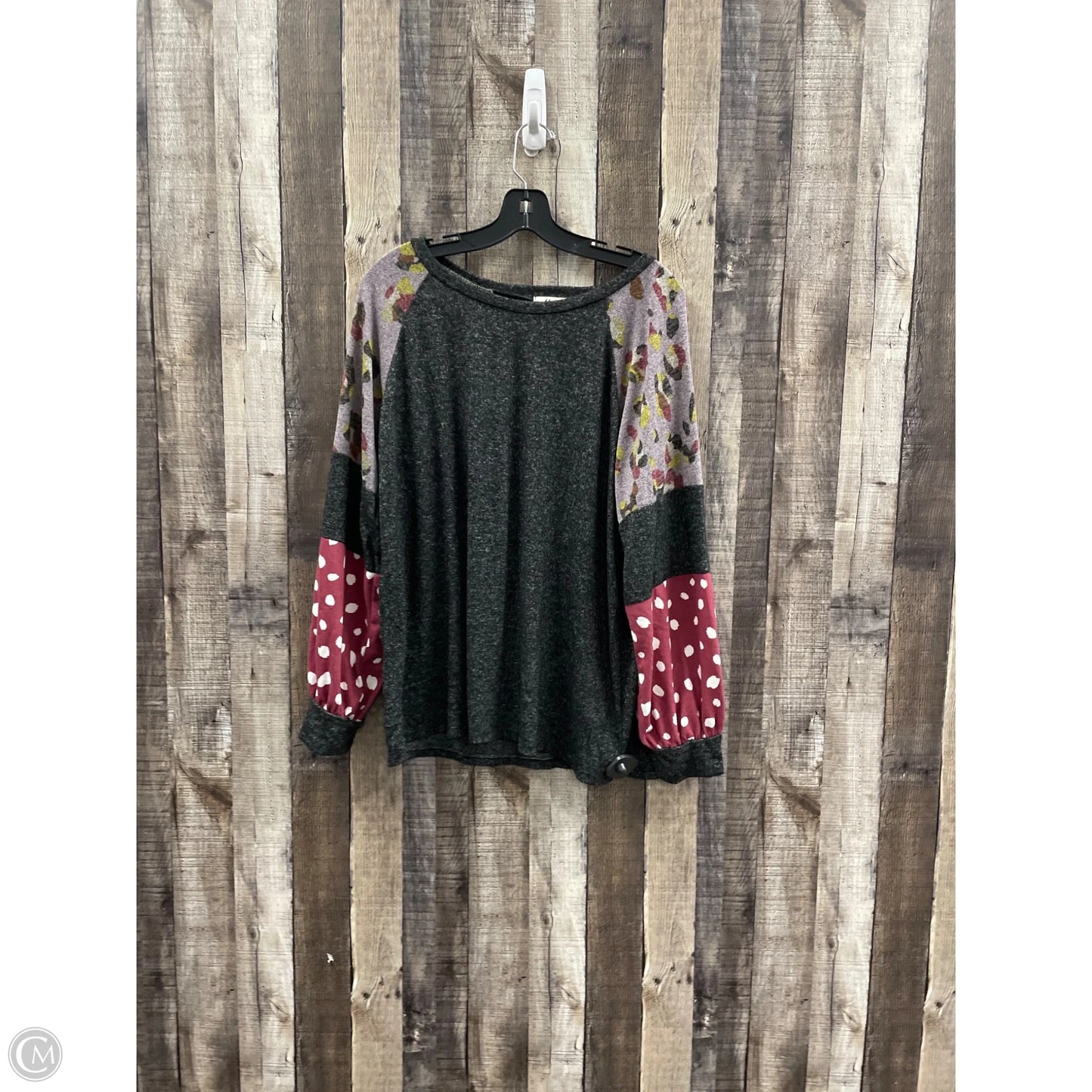 Top Long Sleeve By Haptics In Multi-colored, Size: L