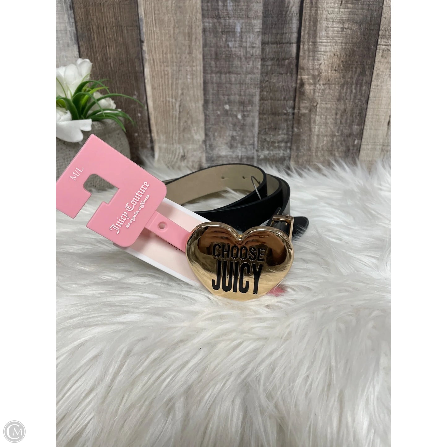 Belt By Juicy Couture, Size: Medium