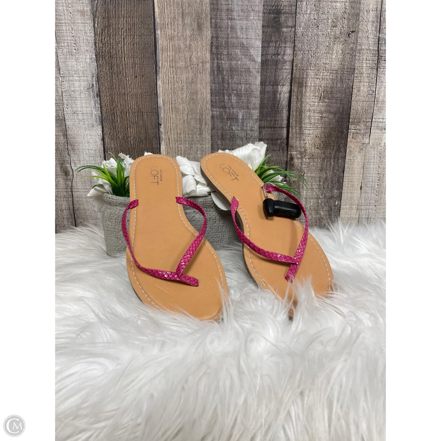 Sandals Flats By Loft In Pink, Size: 6