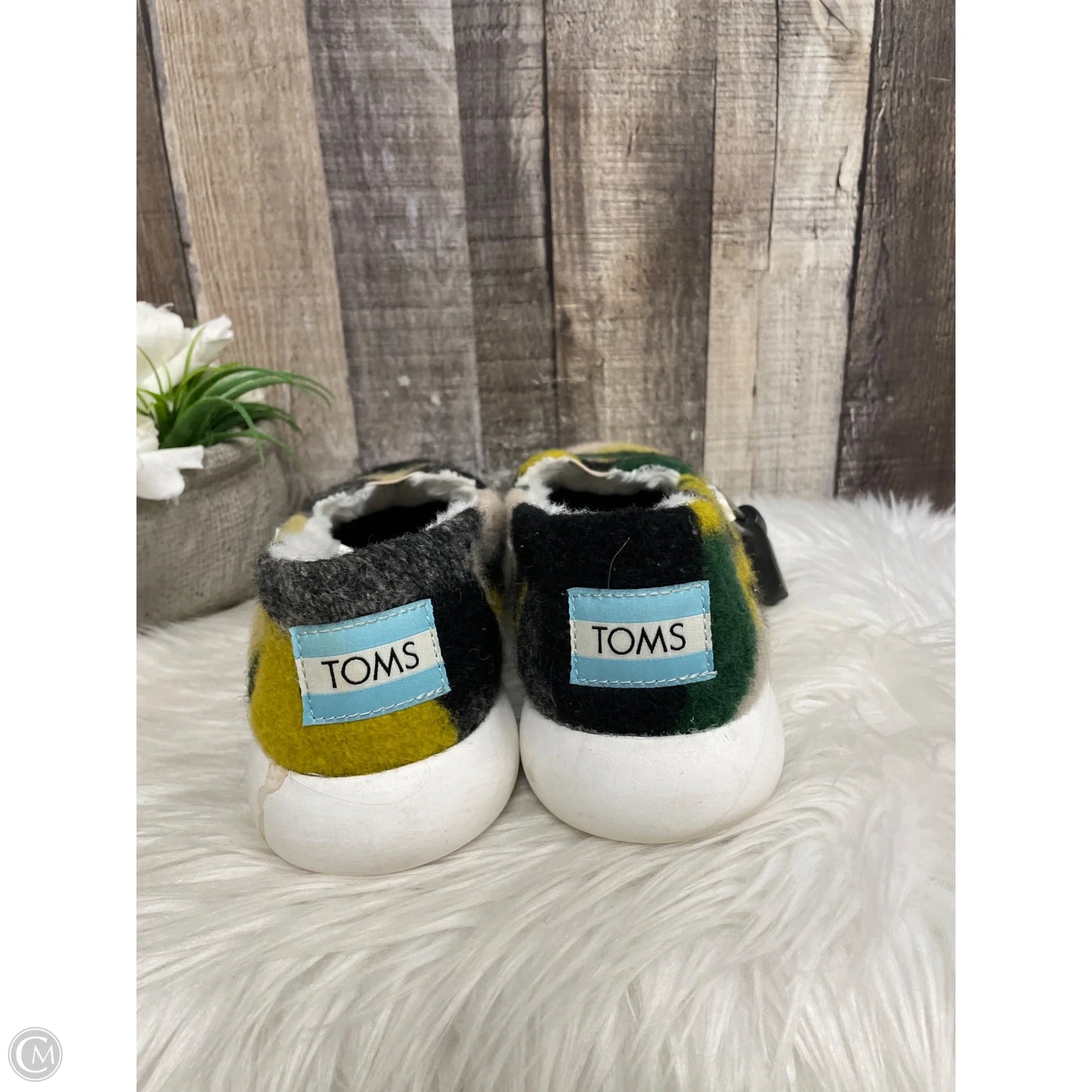 Shoes Flats By Toms In Multi-colored, Size: 8