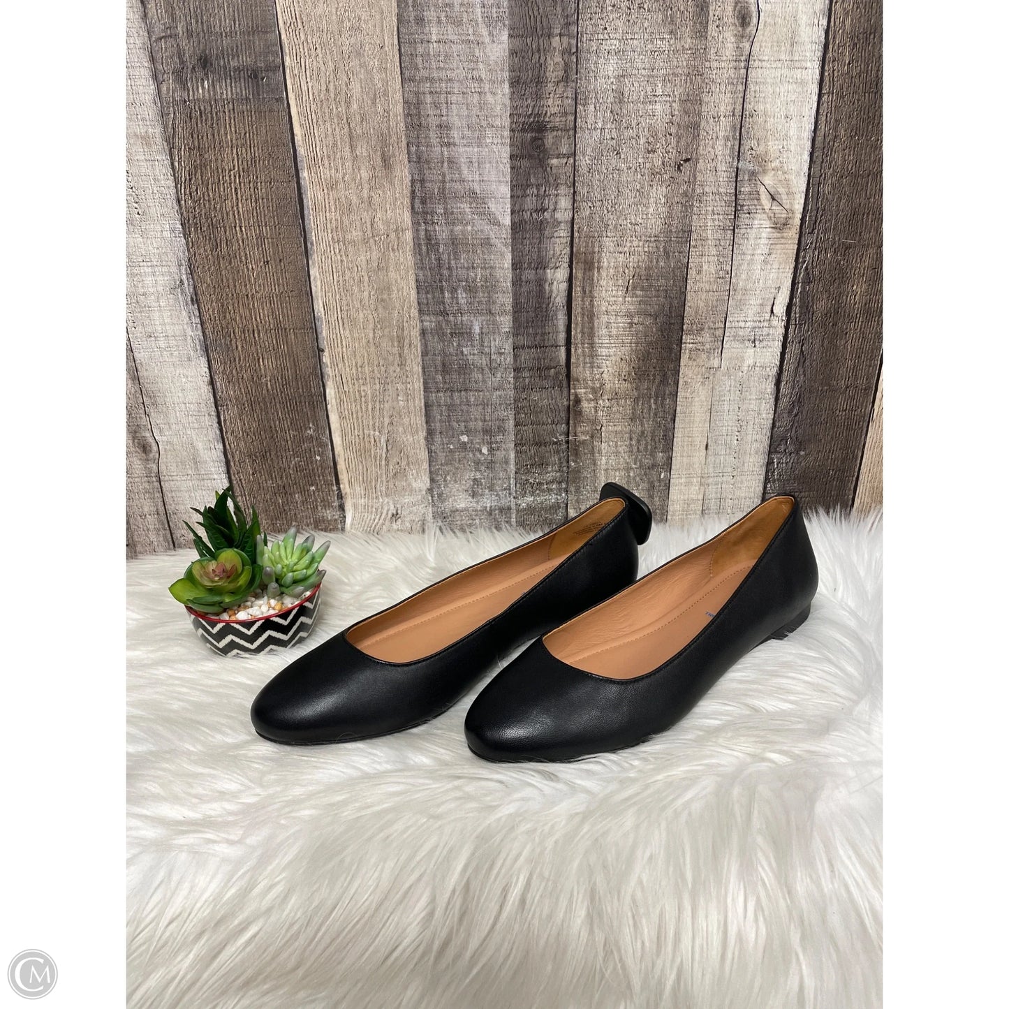 Shoes Flats By Johnston & Murphy In Black, Size: 9.5