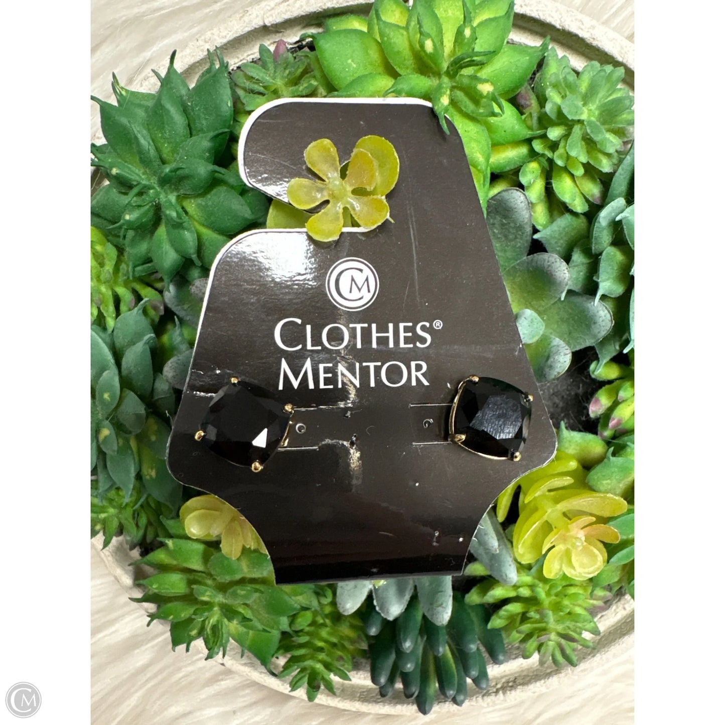 Earrings Designer By Kate Spade