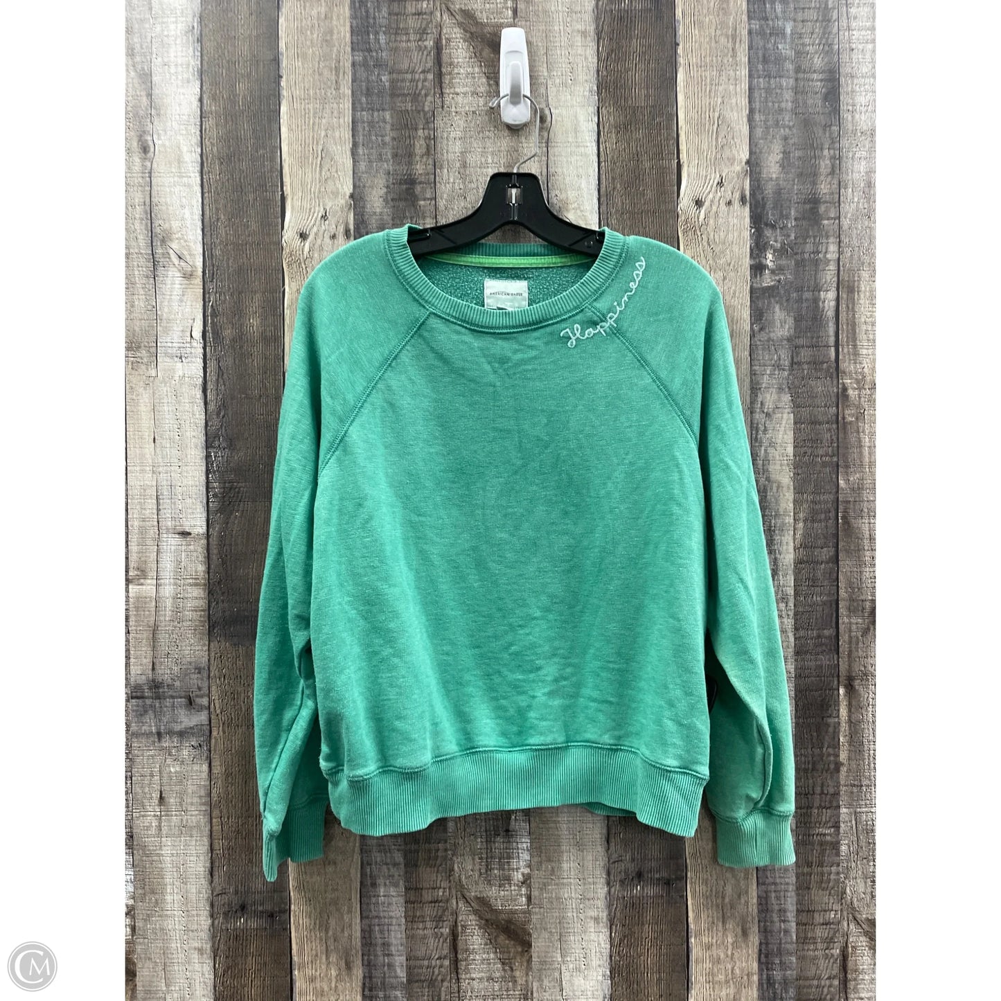 Sweatshirt Crewneck By American Eagle In Green, Size: M