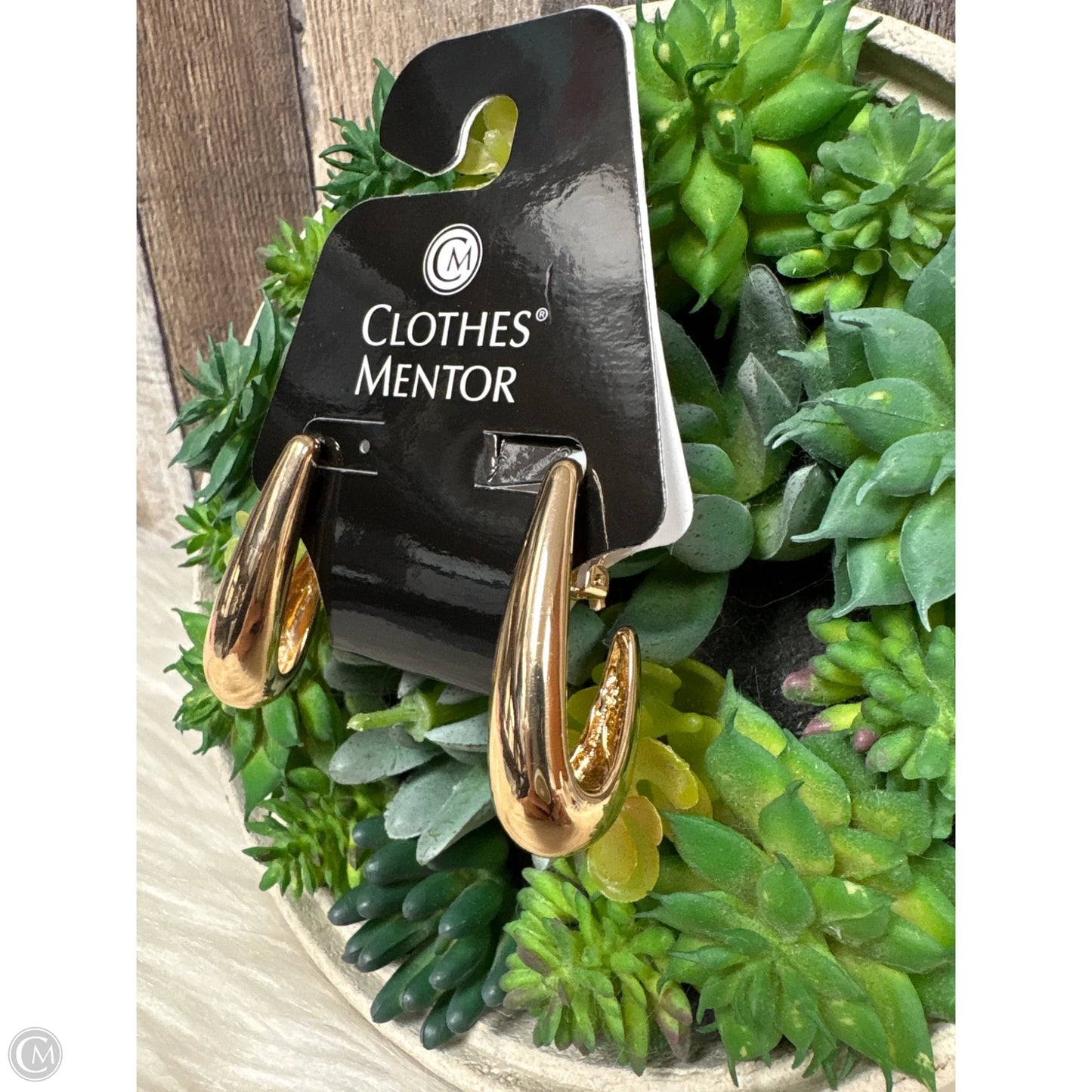 Earrings Hoop By Cmf