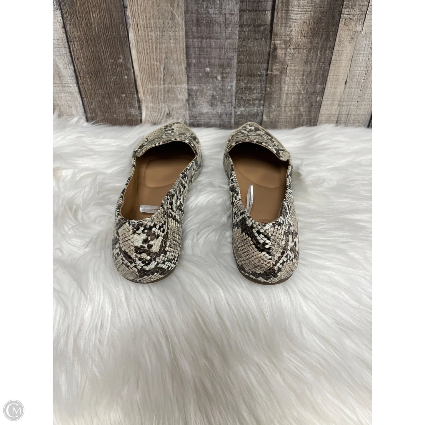 Shoes Flats By Esprit In Snakeskin Print, Size: 9