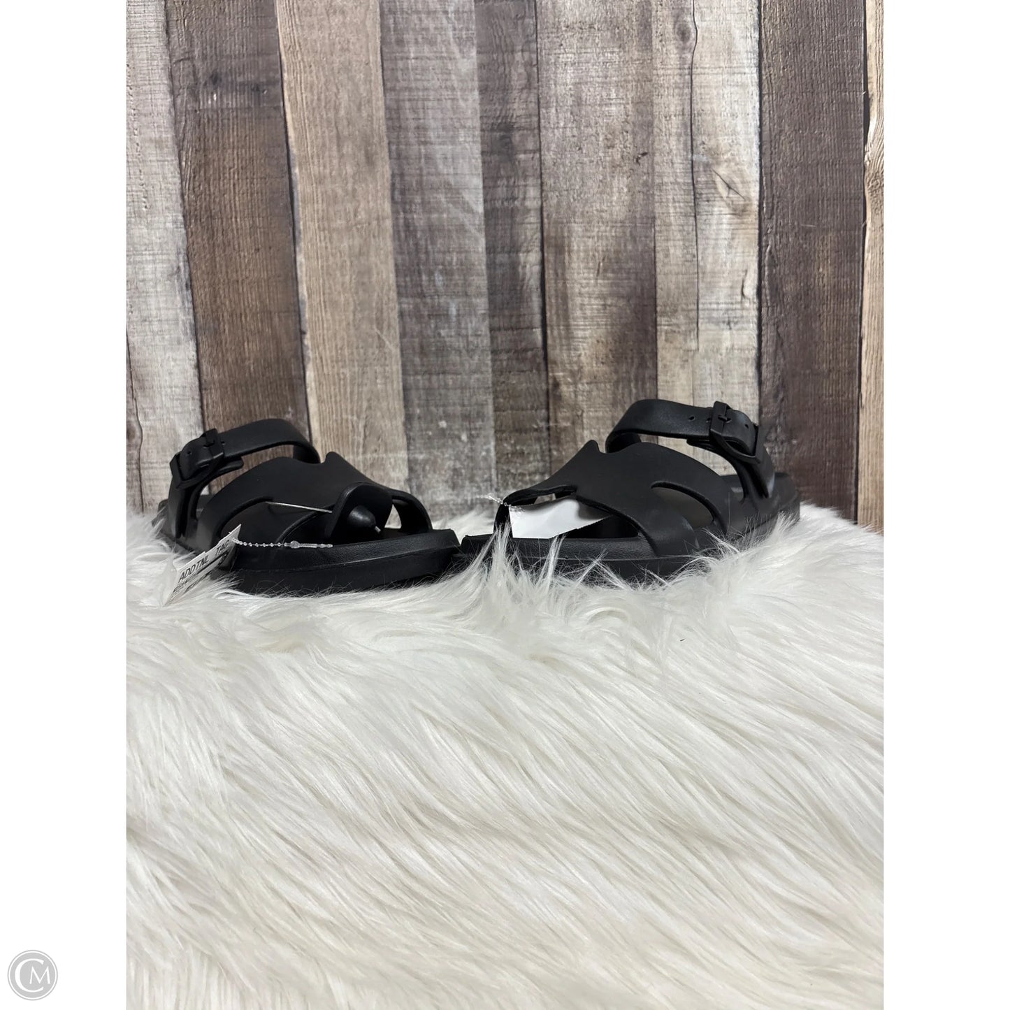 Sandals Flats By Wild Fable In Black, Size: 9