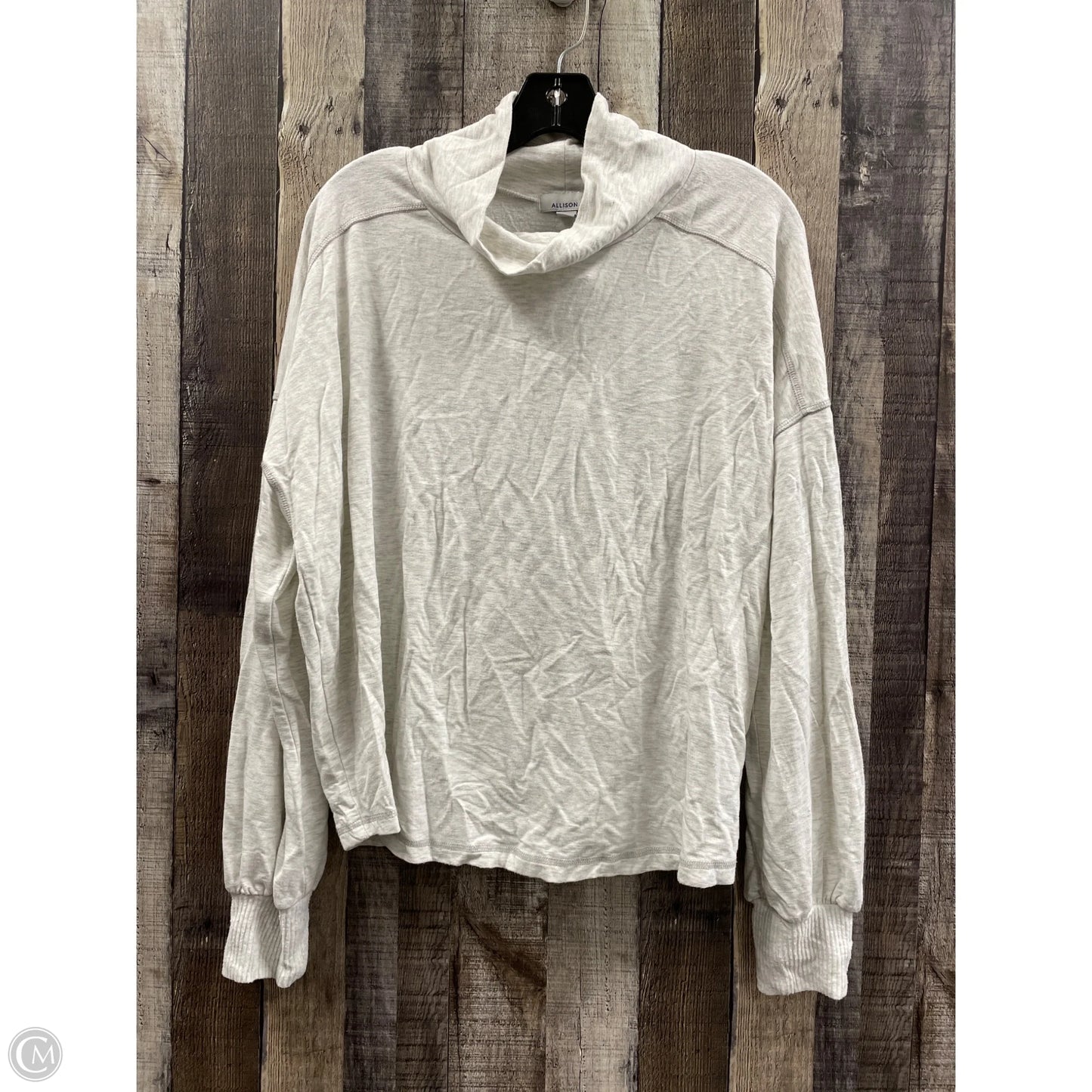 Top Long Sleeve By Allison Joy In Grey, Size: M