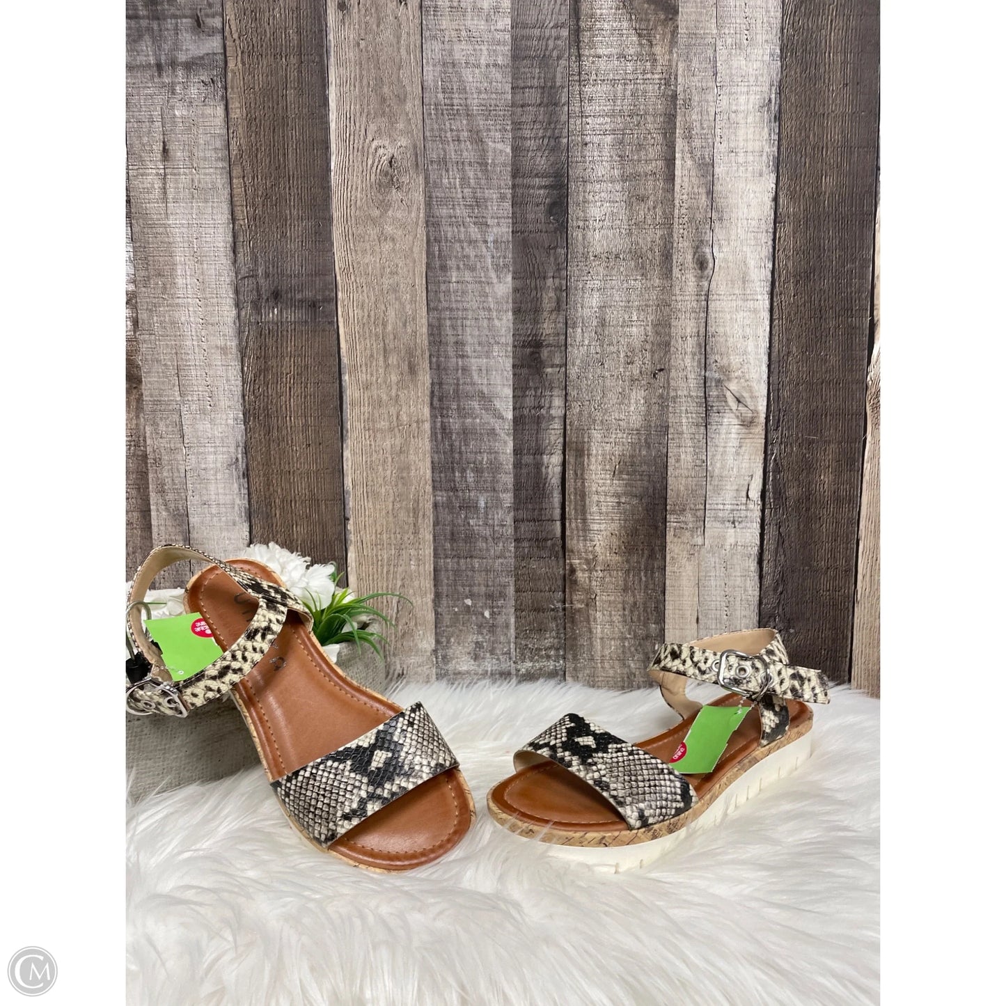 Sandals Flats By Unisa In Snakeskin Print, Size: 8.5