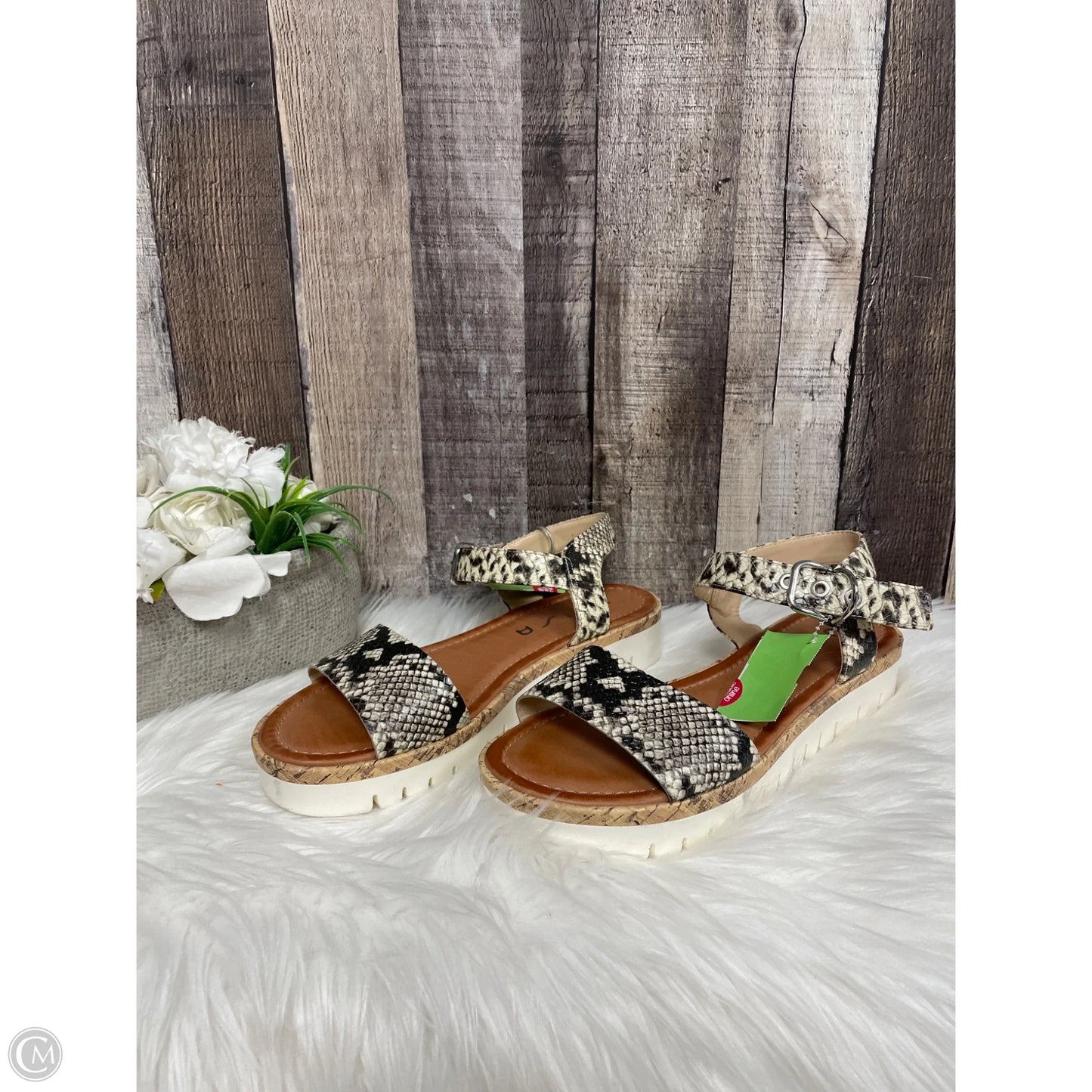 Sandals Flats By Unisa In Snakeskin Print, Size: 8.5