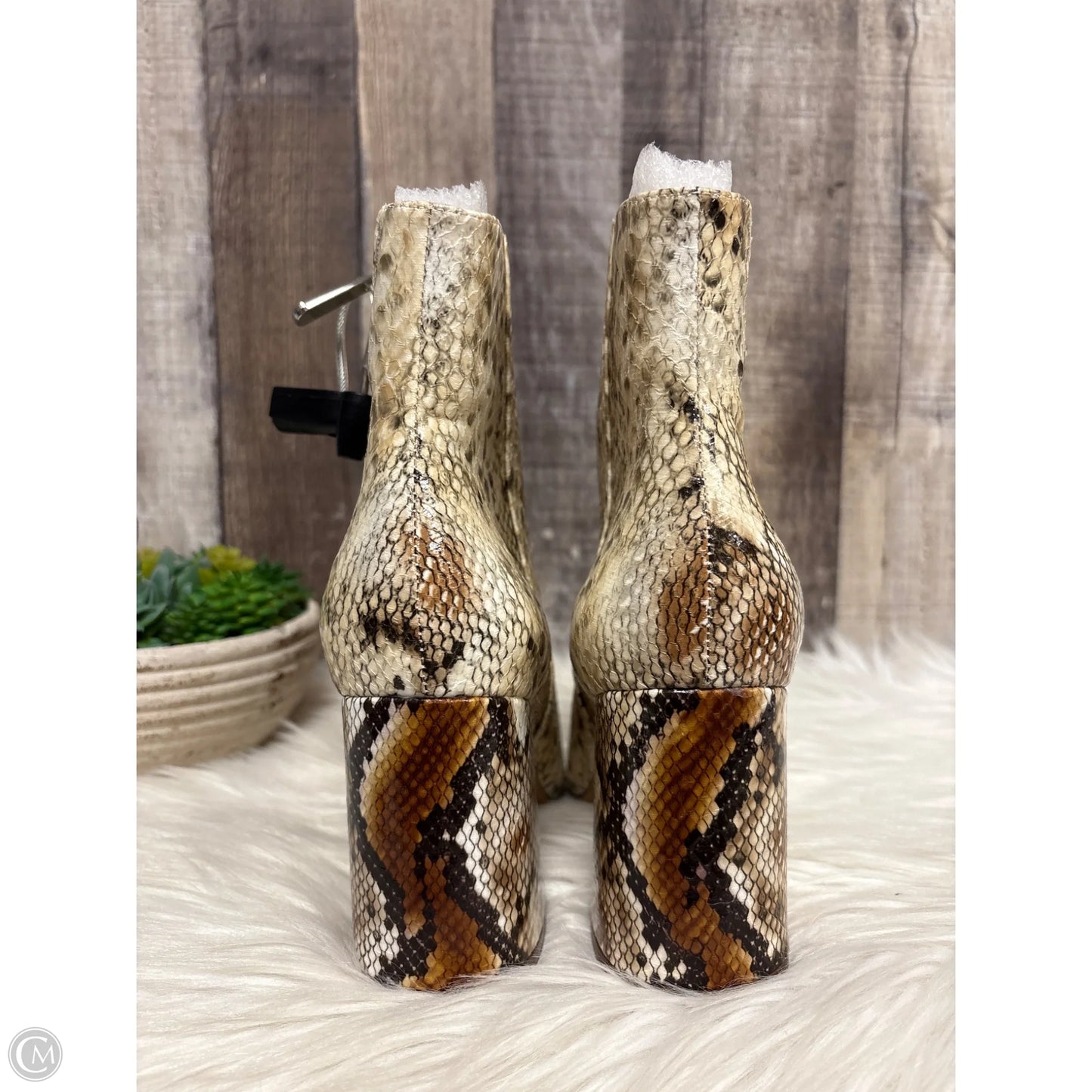 Boots Ankle Heels By Charles By Charles David In Snakeskin Print, Size: 8