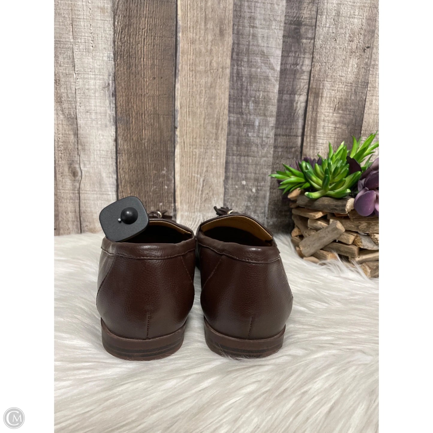 Shoes Flats By Lane Bryant In Brown, Size: 9