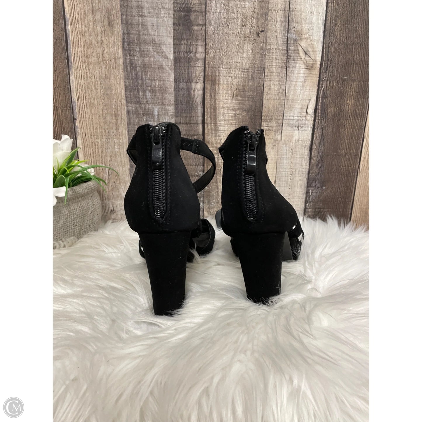 Shoes Heels Block By Top Moda In Black, Size: 7