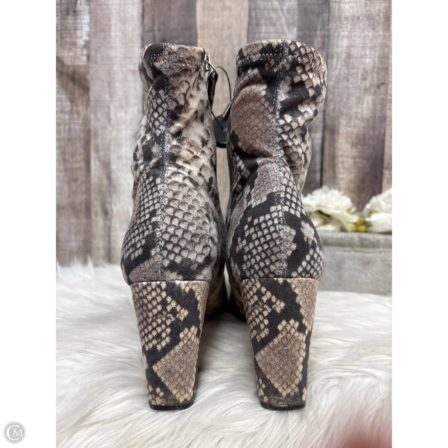 Boots Ankle Heels By Steve Madden In Snakeskin Print, Size: 10