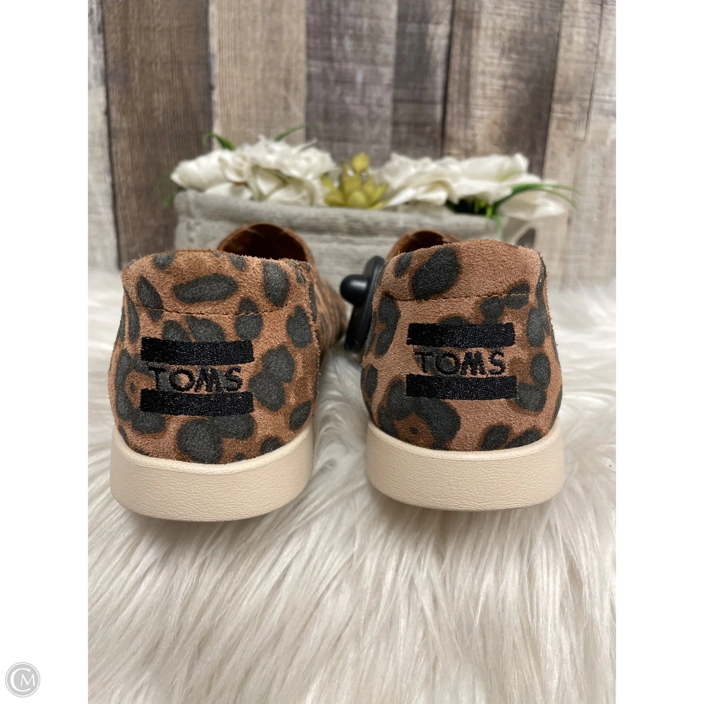 Shoes Flats By Toms In Animal Print, Size: 6.5
