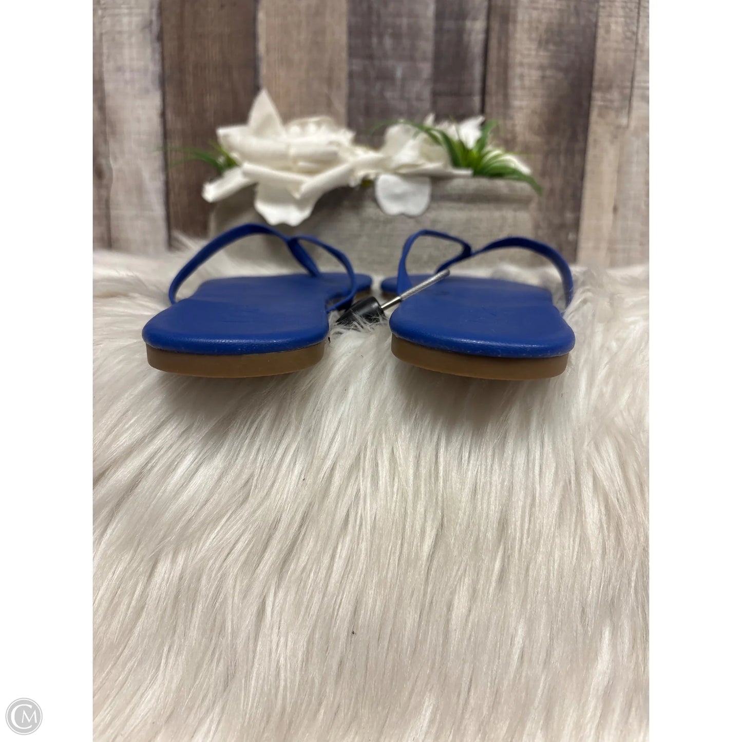 Sandals Flats By Loft In Blue, Size: 7