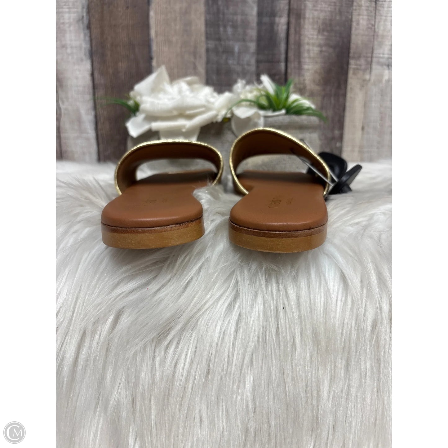 Sandals Flats By Cmb In Brown, Size: 8