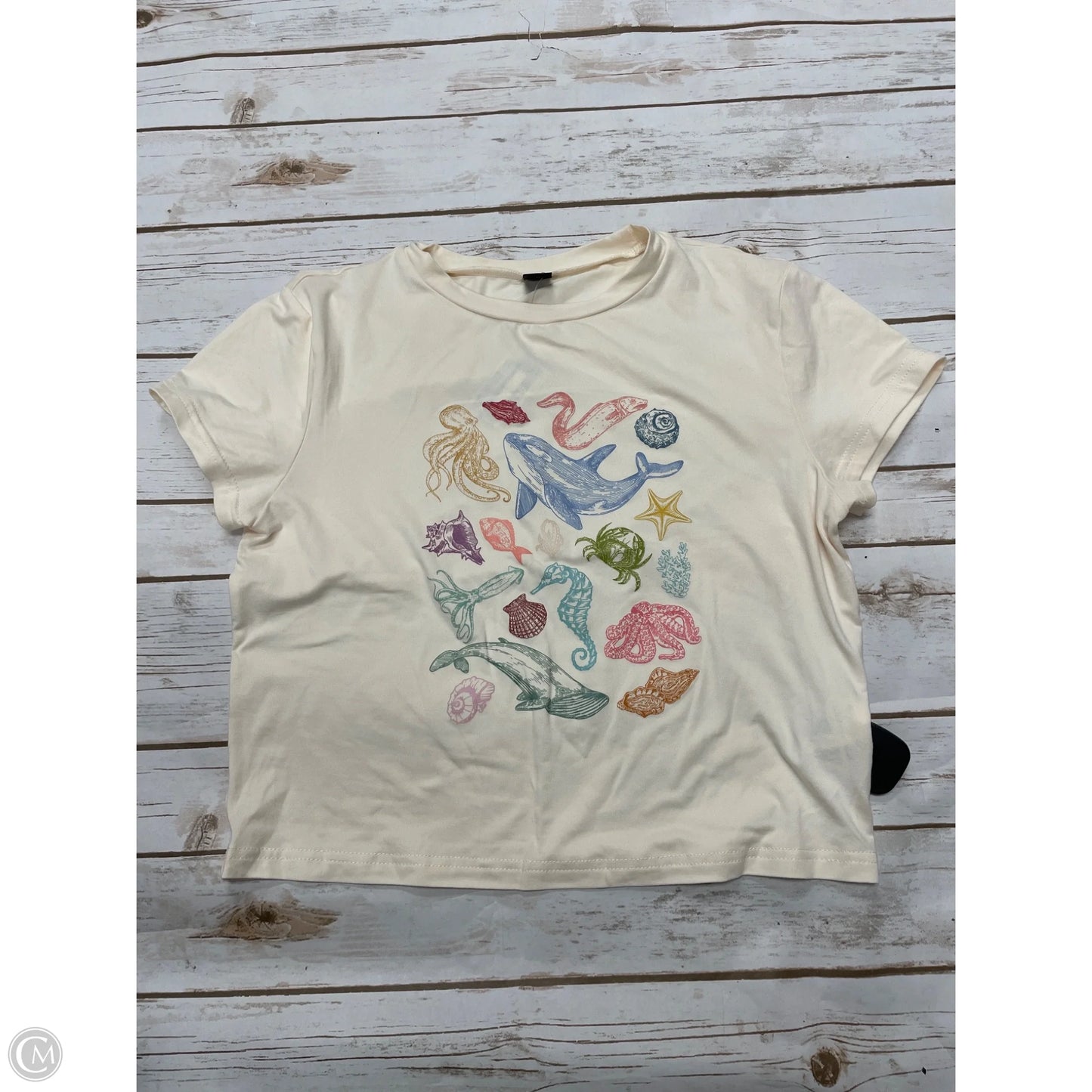 Top Short Sleeve By Shein In Multi-colored, Size: L