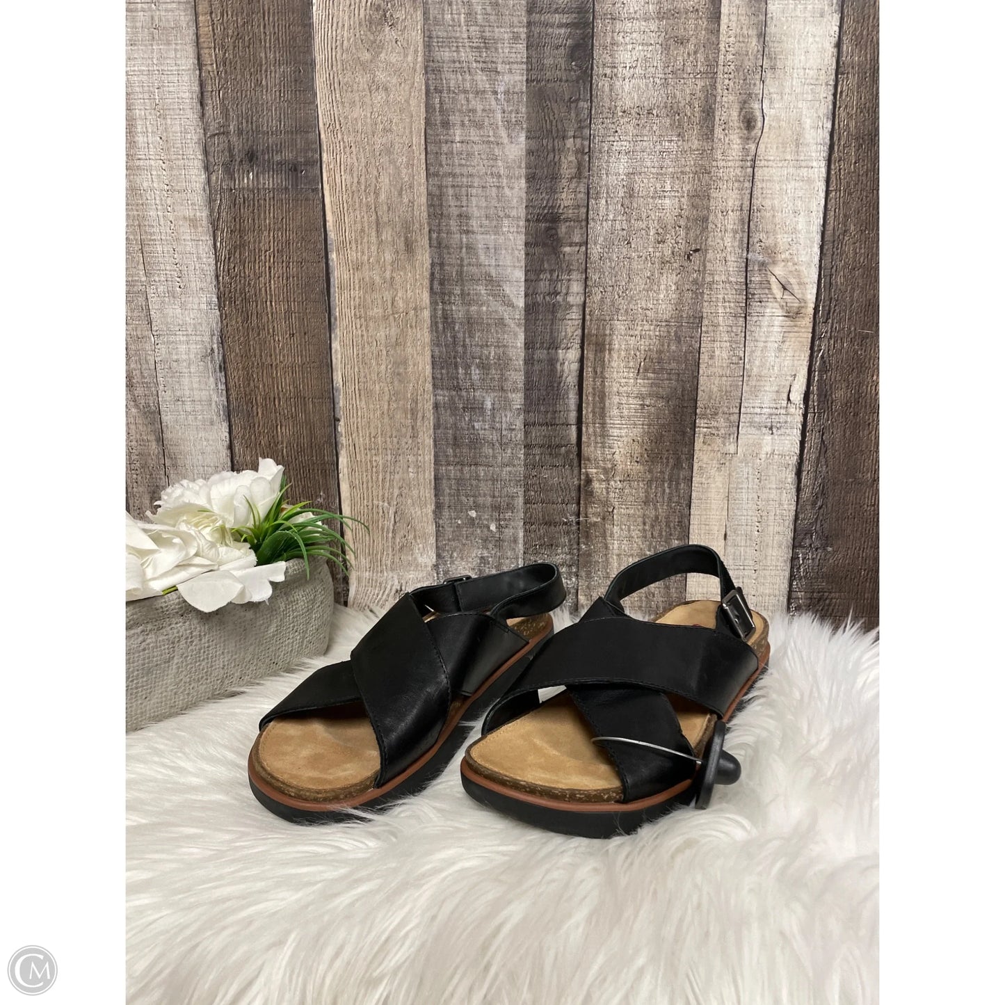 Sandals Flats By Clarks In Black, Size: 8
