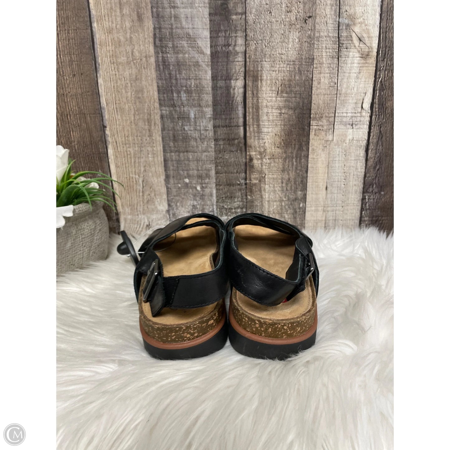 Sandals Flats By Clarks In Black, Size: 8