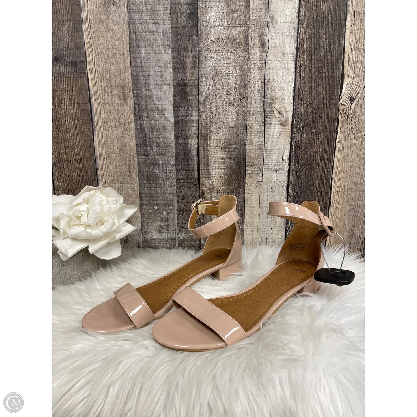 Sandals Heels Block By 14th And Union In Pink, Size: 9.5