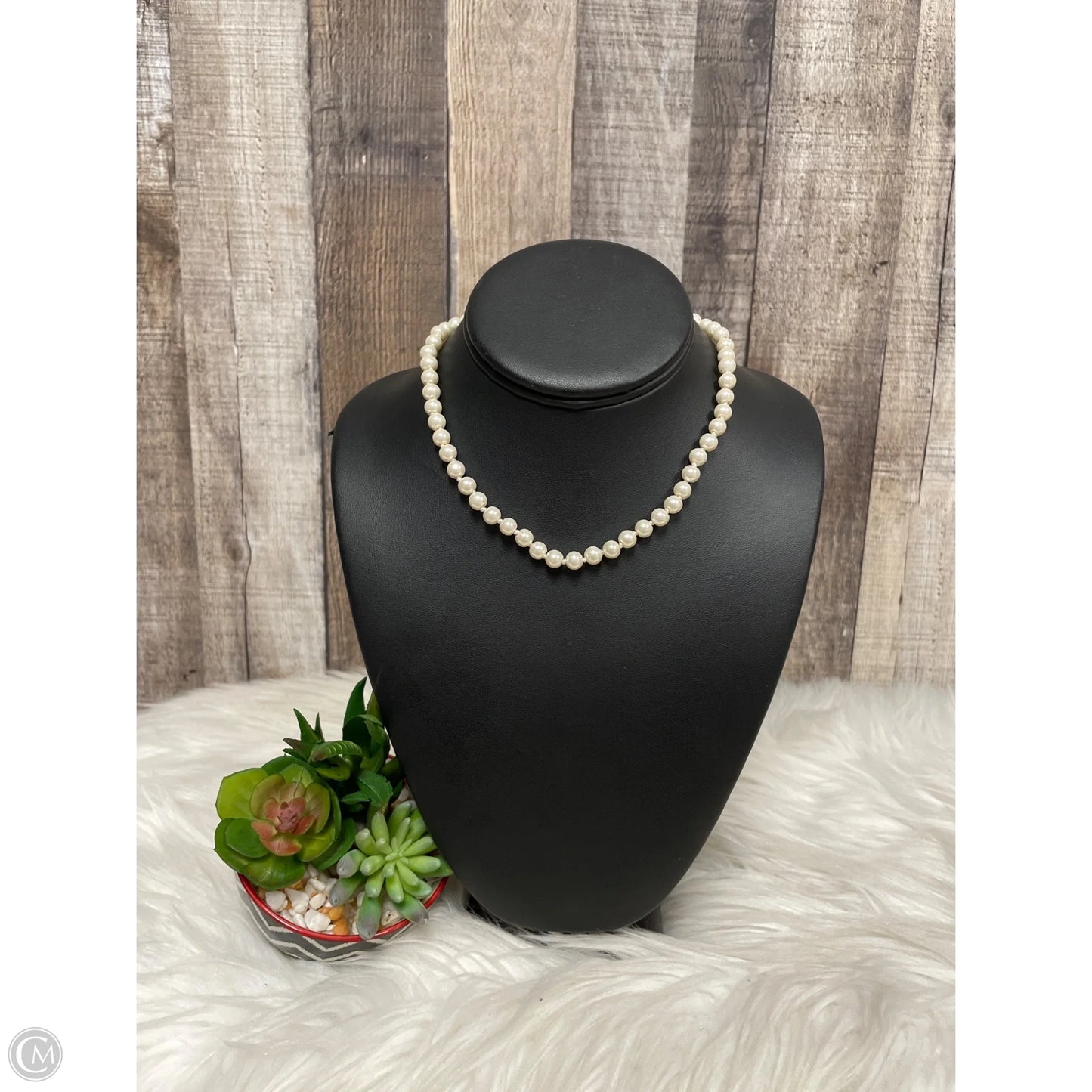 Necklace Choker & Collar By Charming Charlie