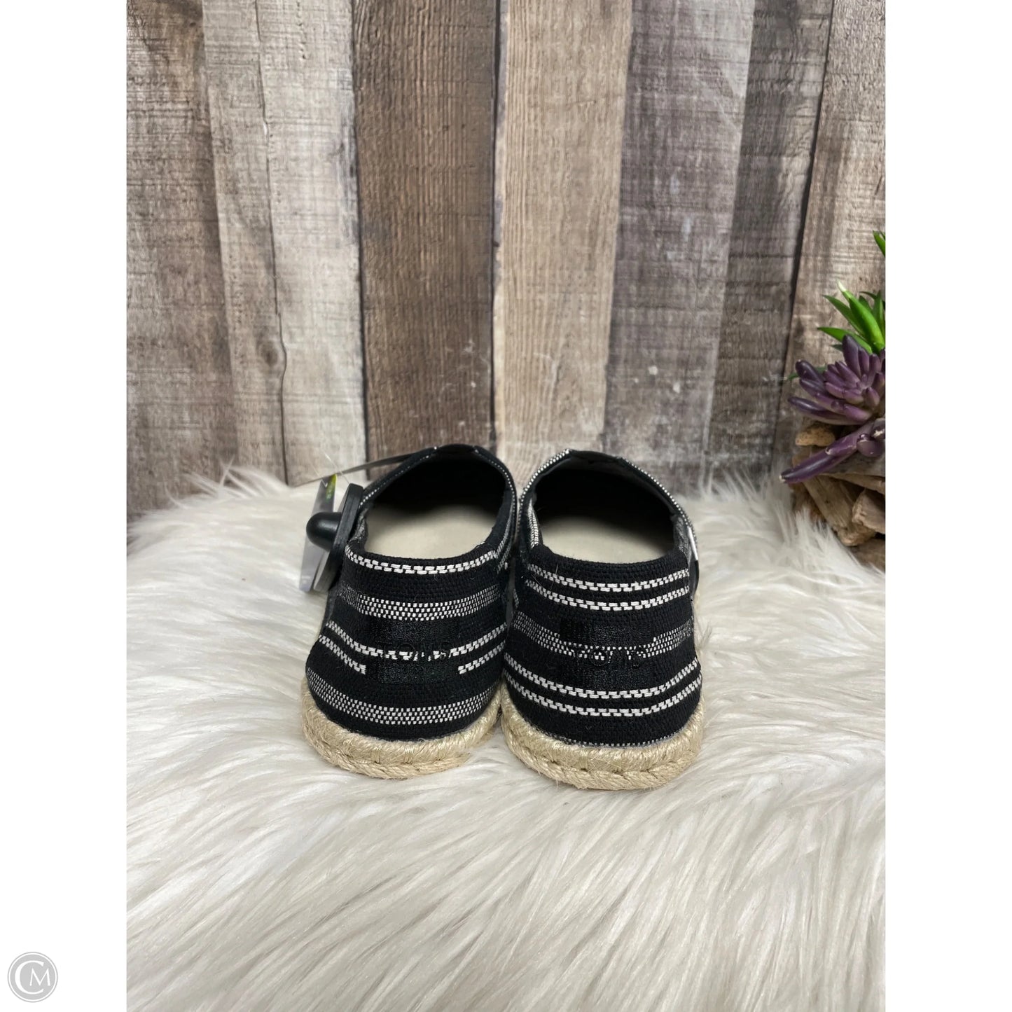 Shoes Flats By Toms In Black, Size: 9.5