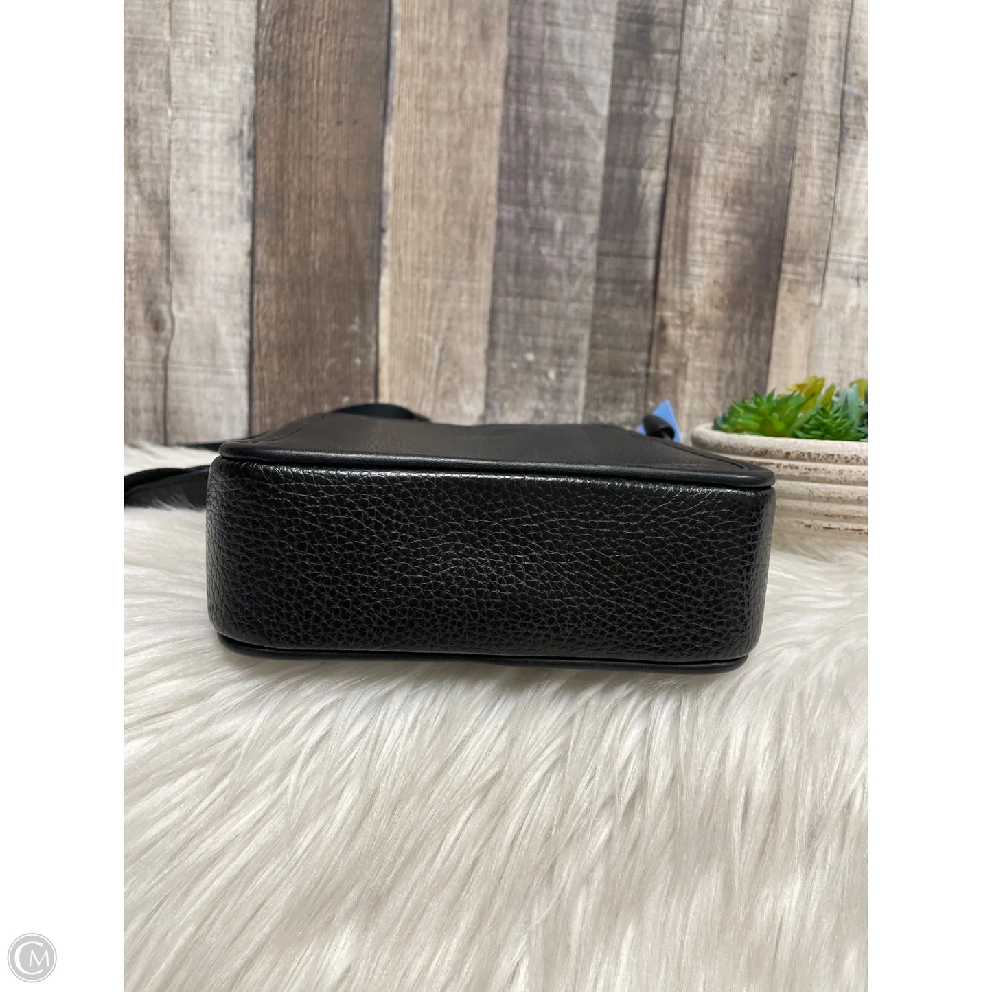 Crossbody Designer By Coach, Size: Small