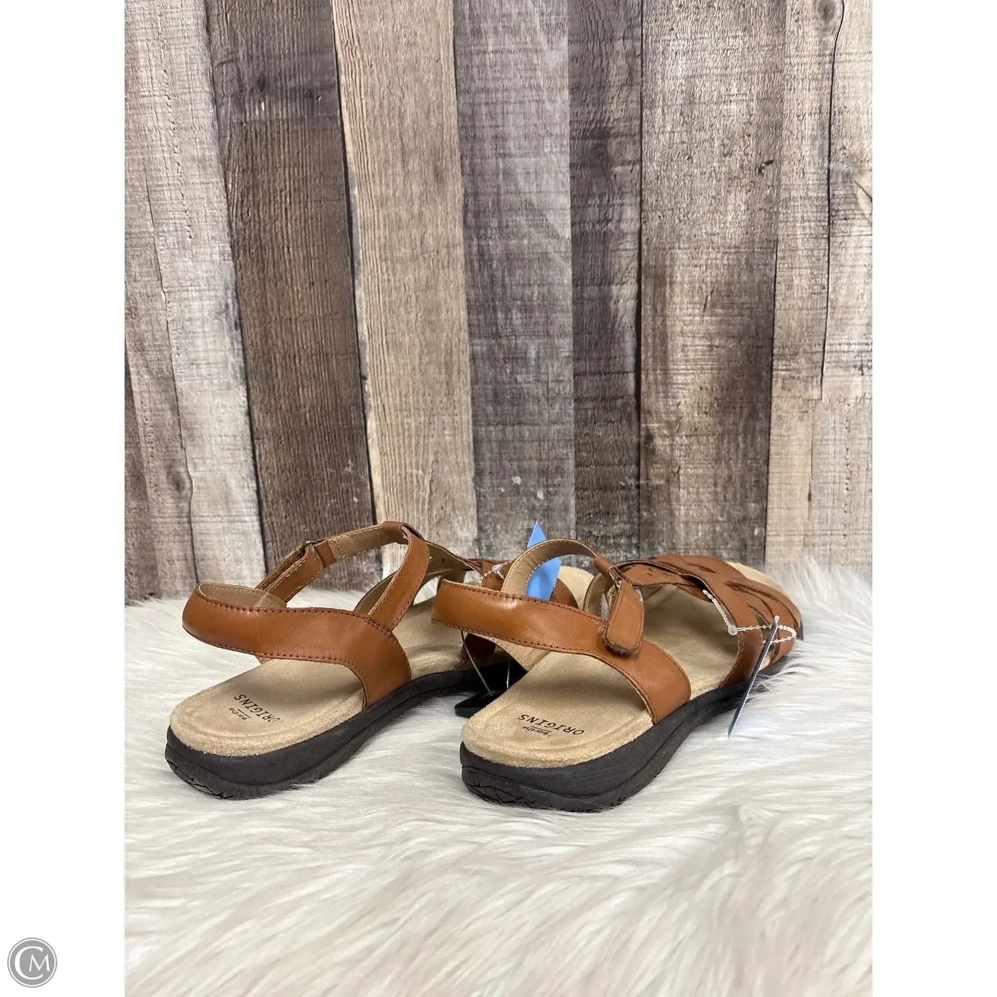Sandals Flats By Earth Origins In Brown, Size: 9.5