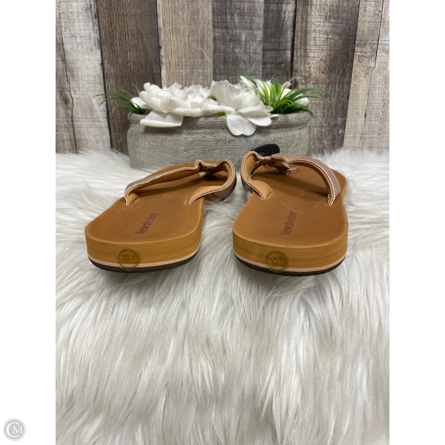 Sandals Flats By Cme In Brown, Size: 9.5